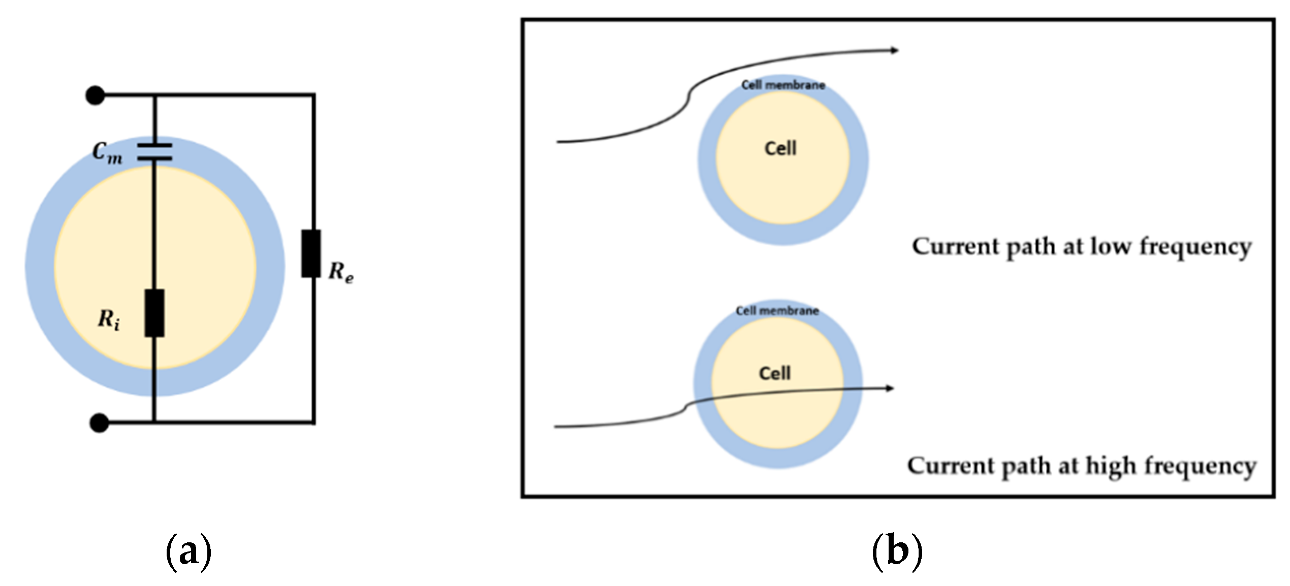 Sensors 20 03327 g001