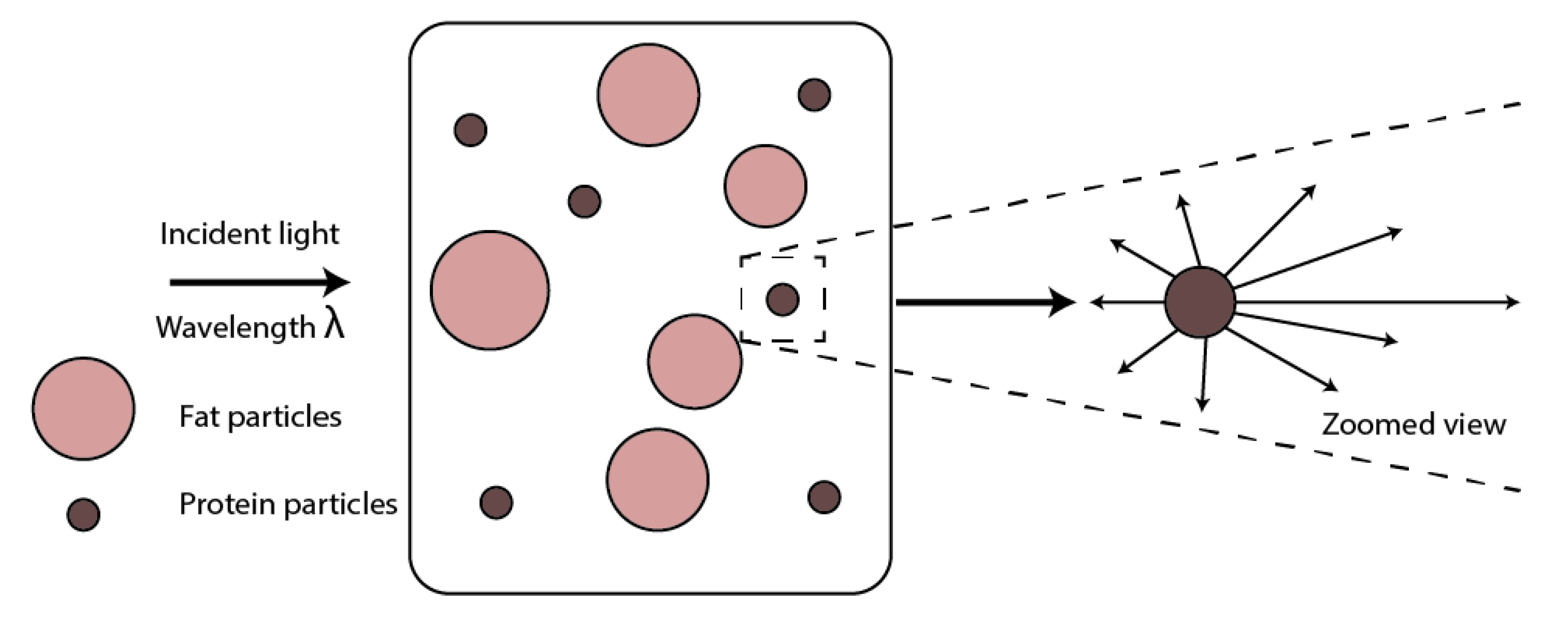Sensors 20 03356 g001
