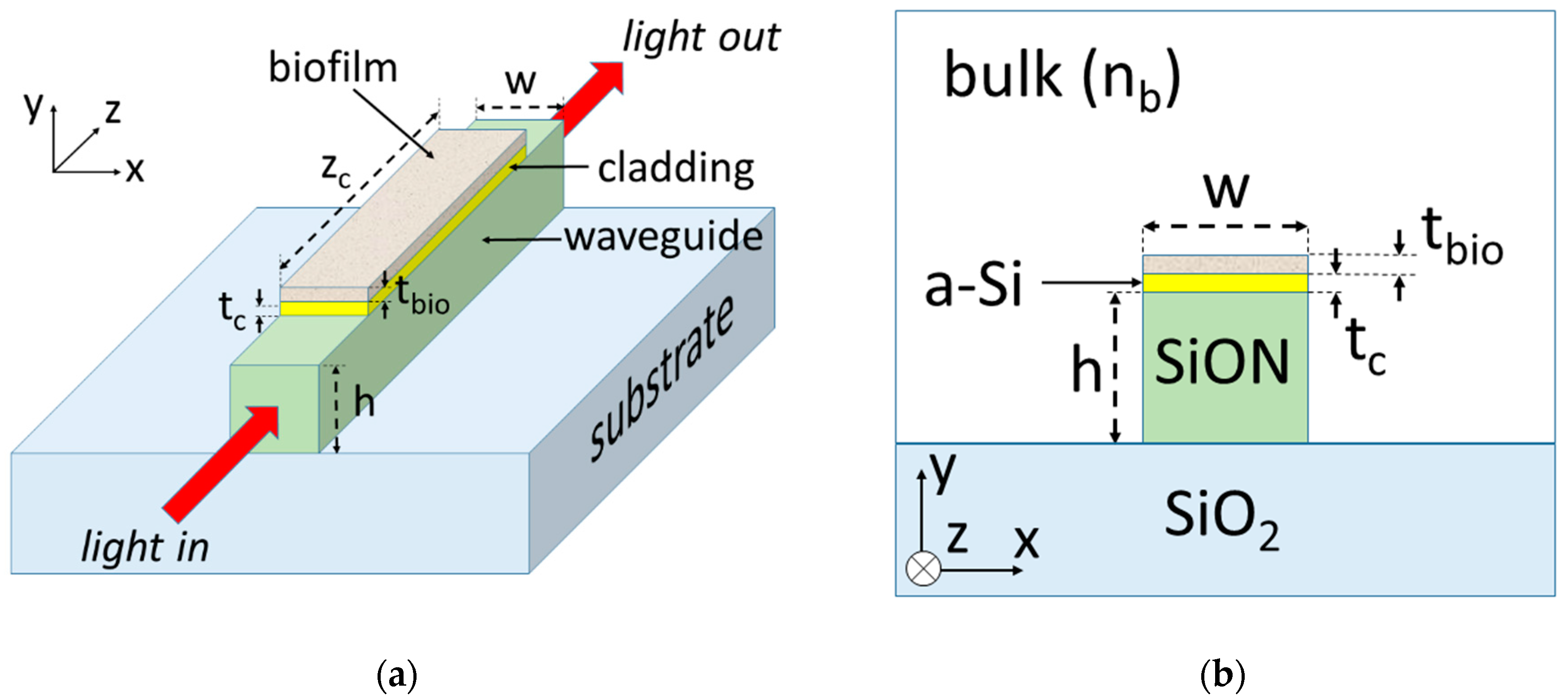 Sensors 20 03368 g001 Sensors 20 03368 g001