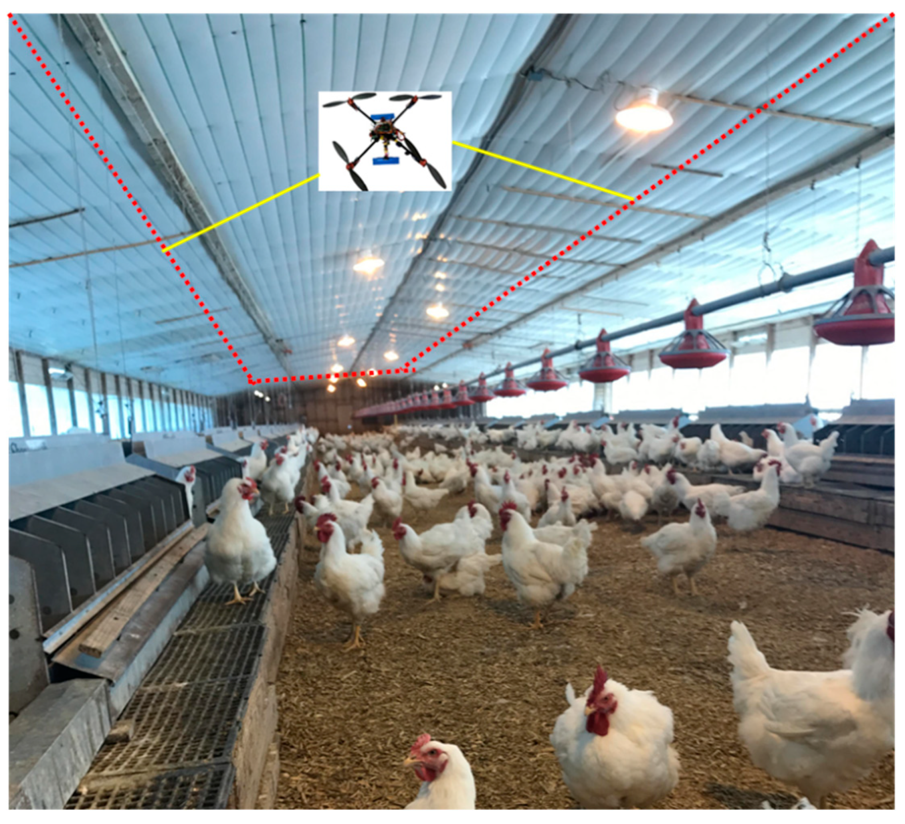 Sensors 20 03369 g005