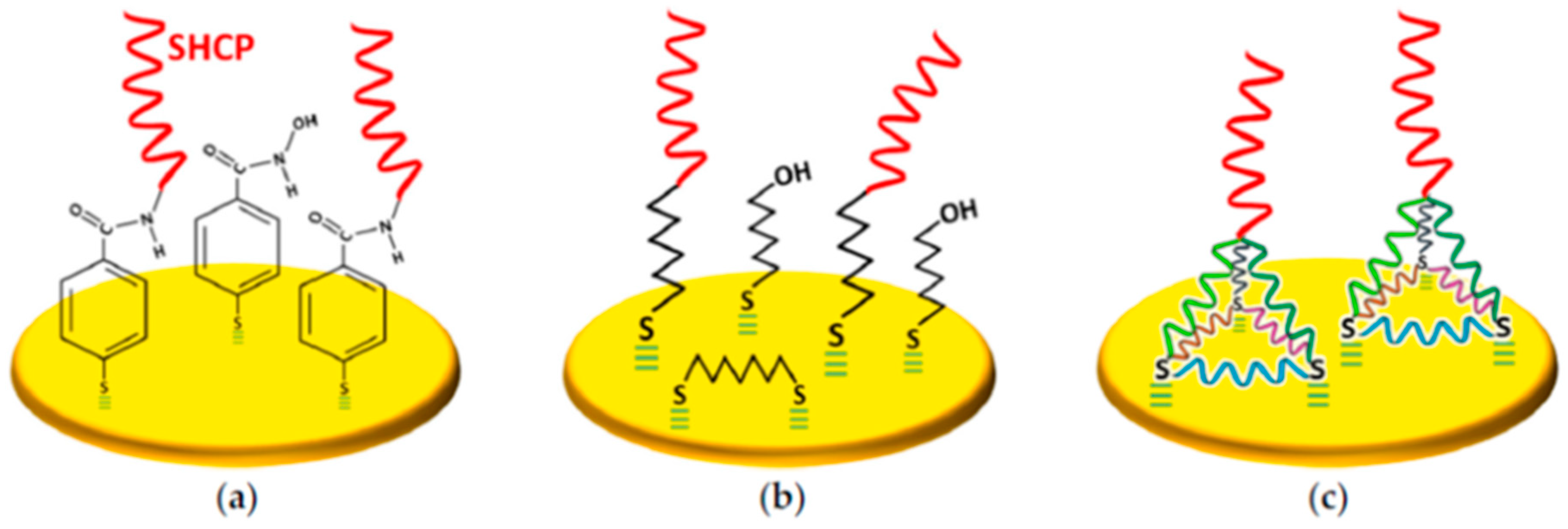 Sensors 20 03376 g001