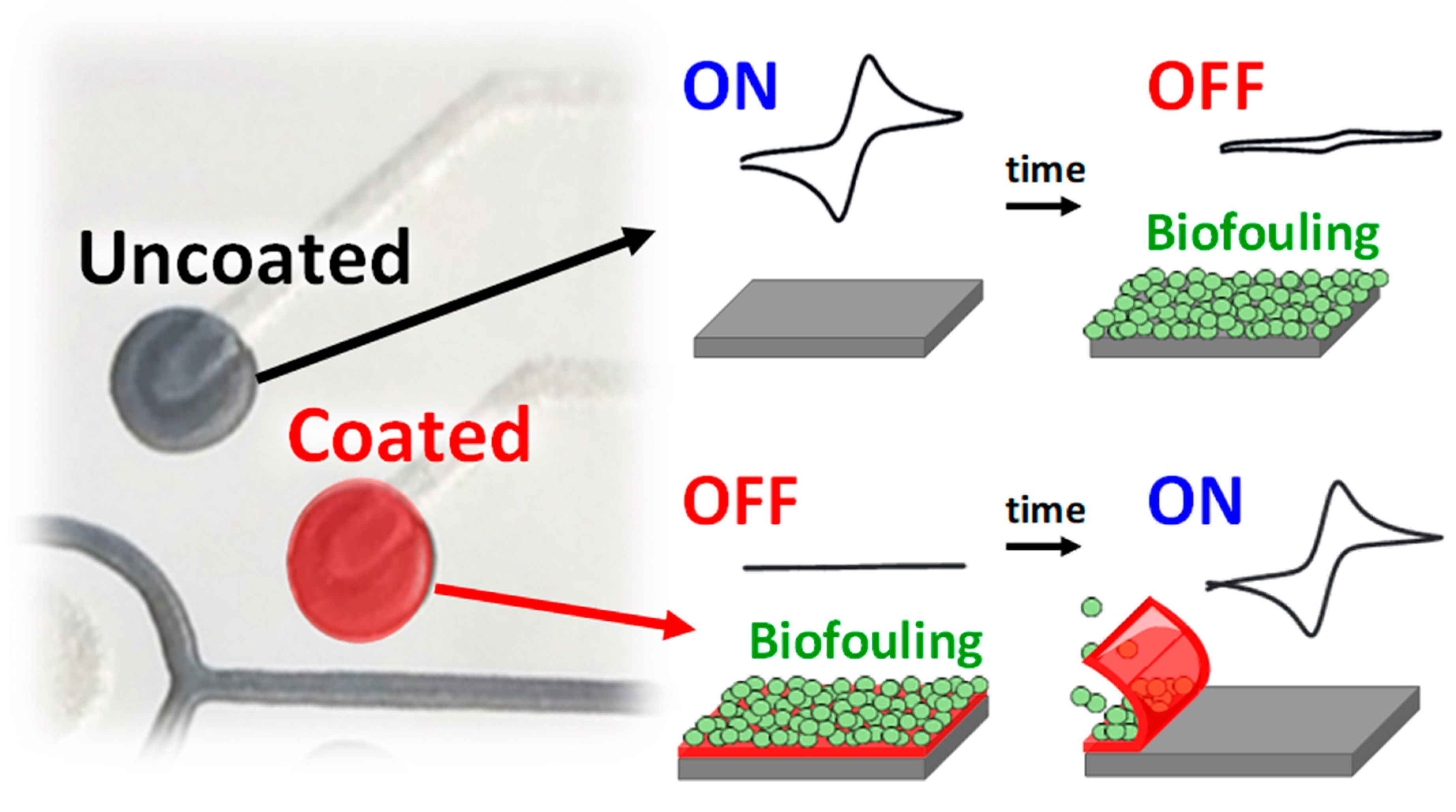 Sensors 20 03376 g002