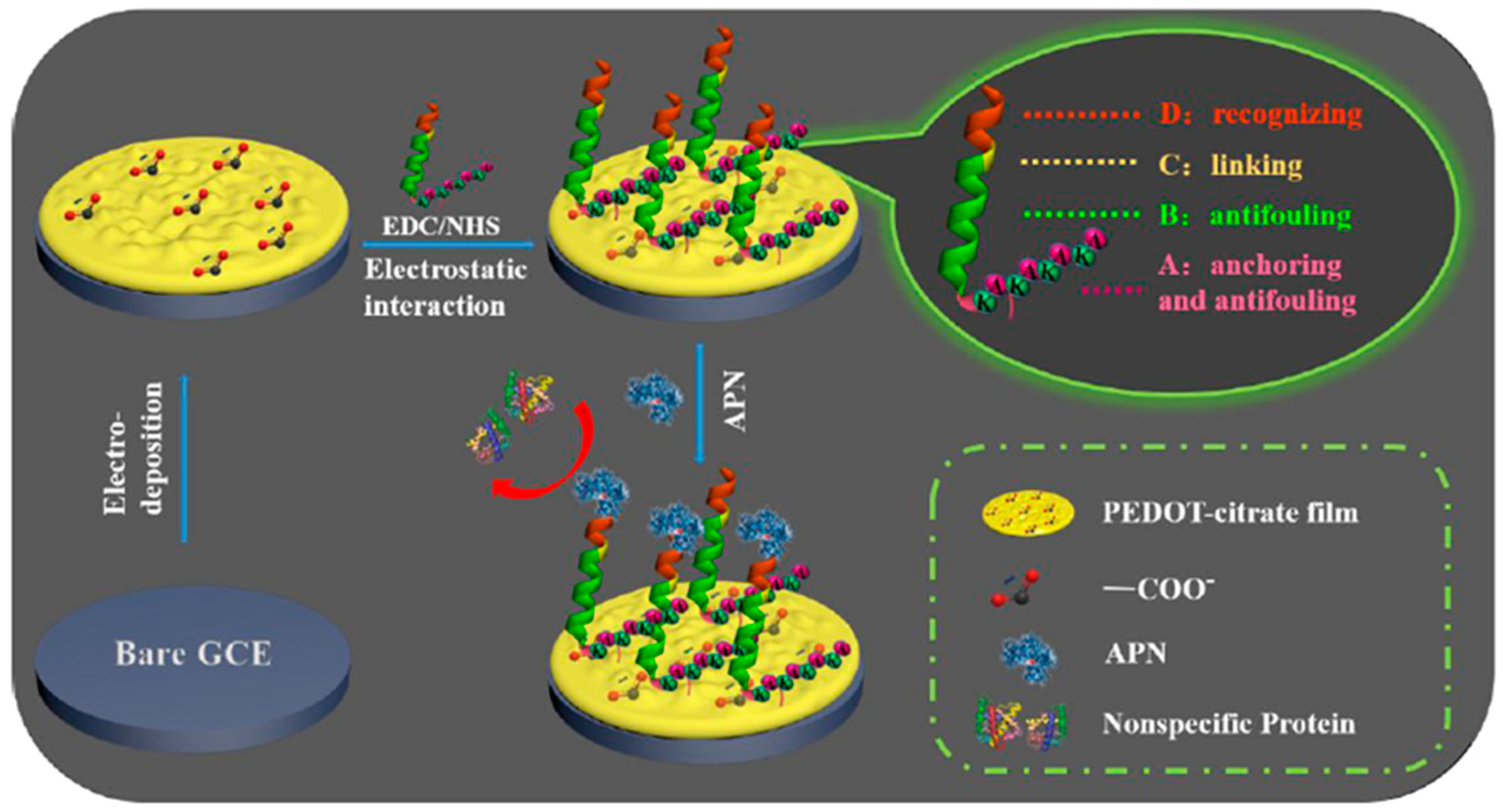 Sensors 20 03376 g003