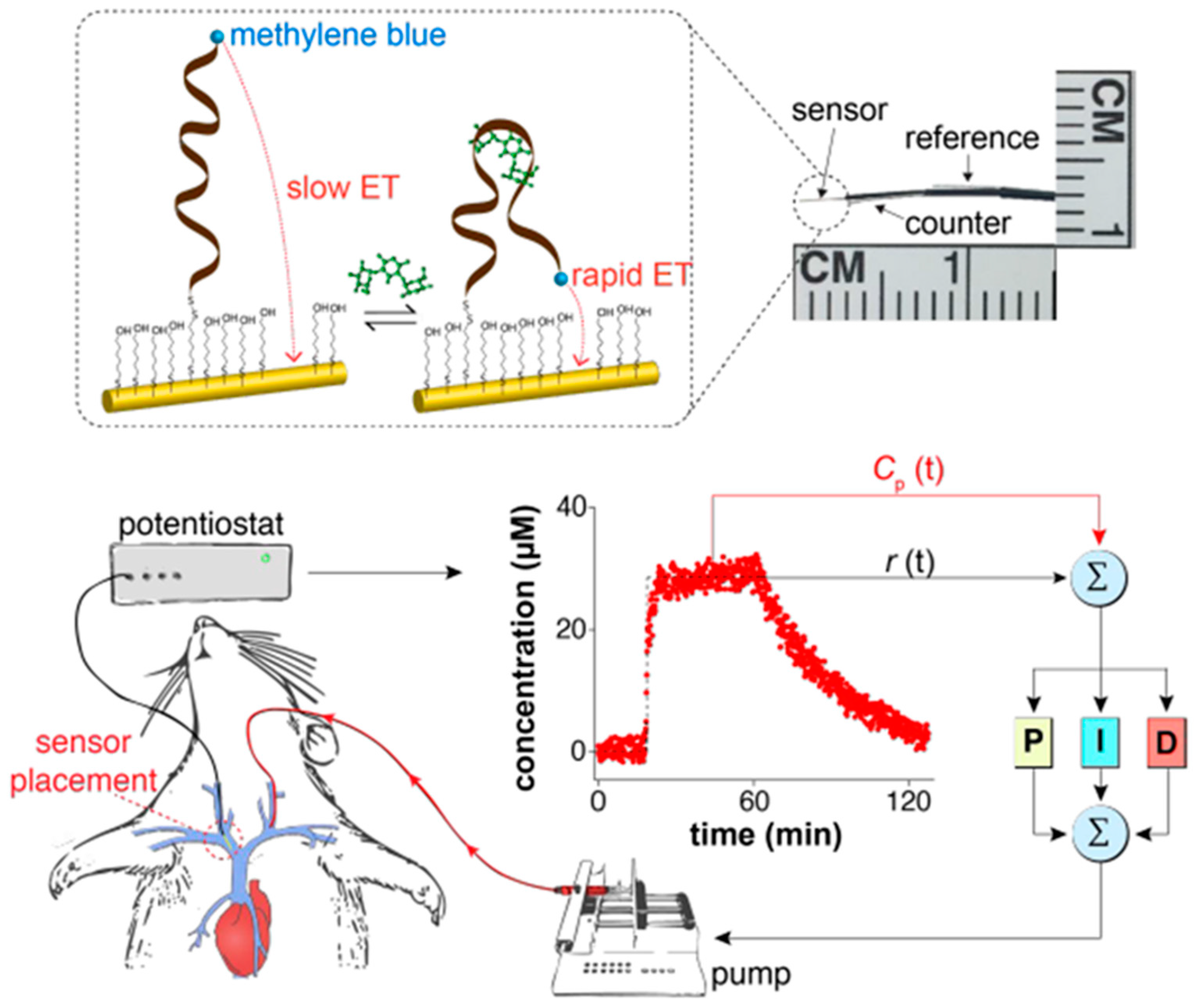 Sensors 20 03376 g005