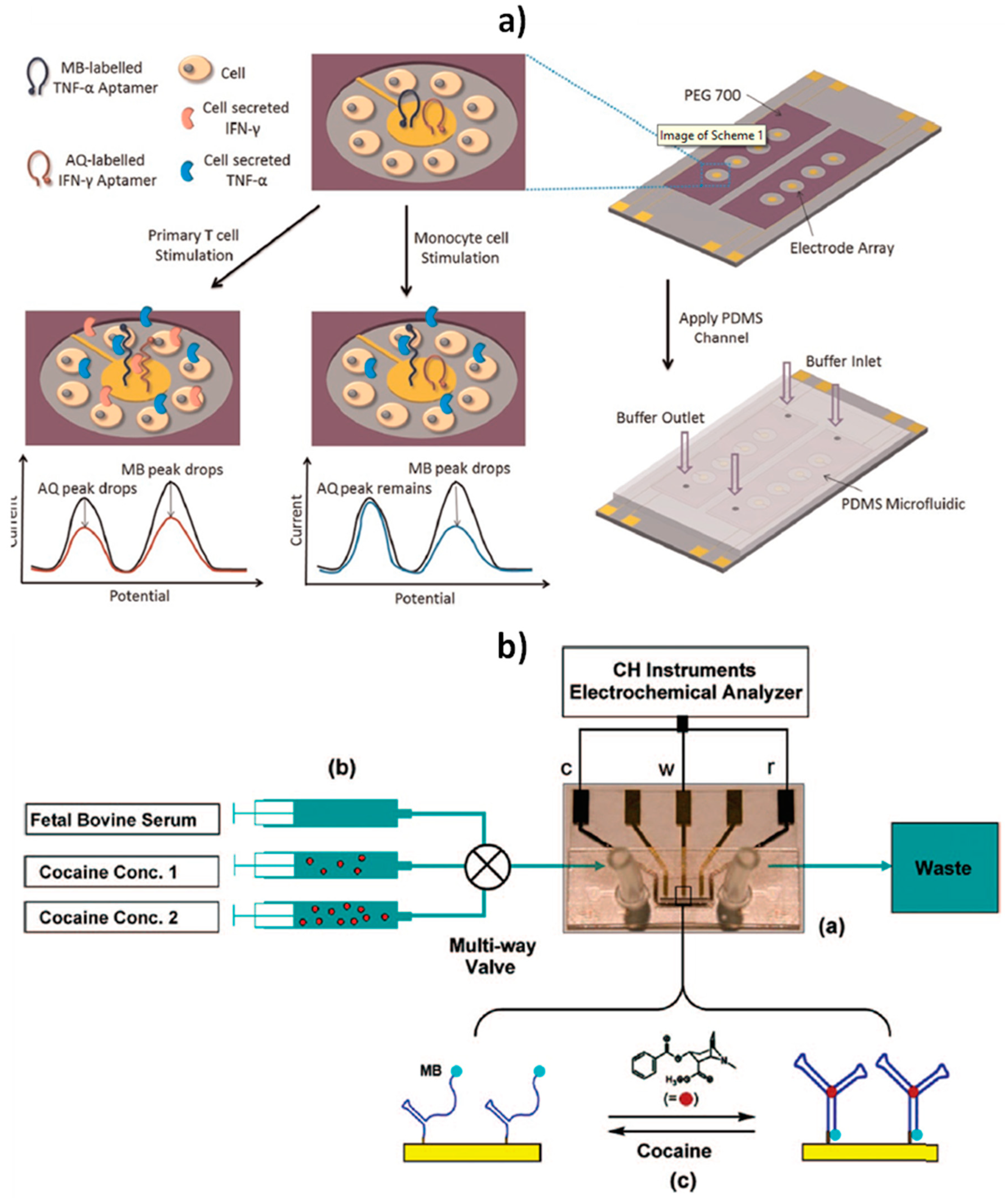 Sensors 20 03376 g006