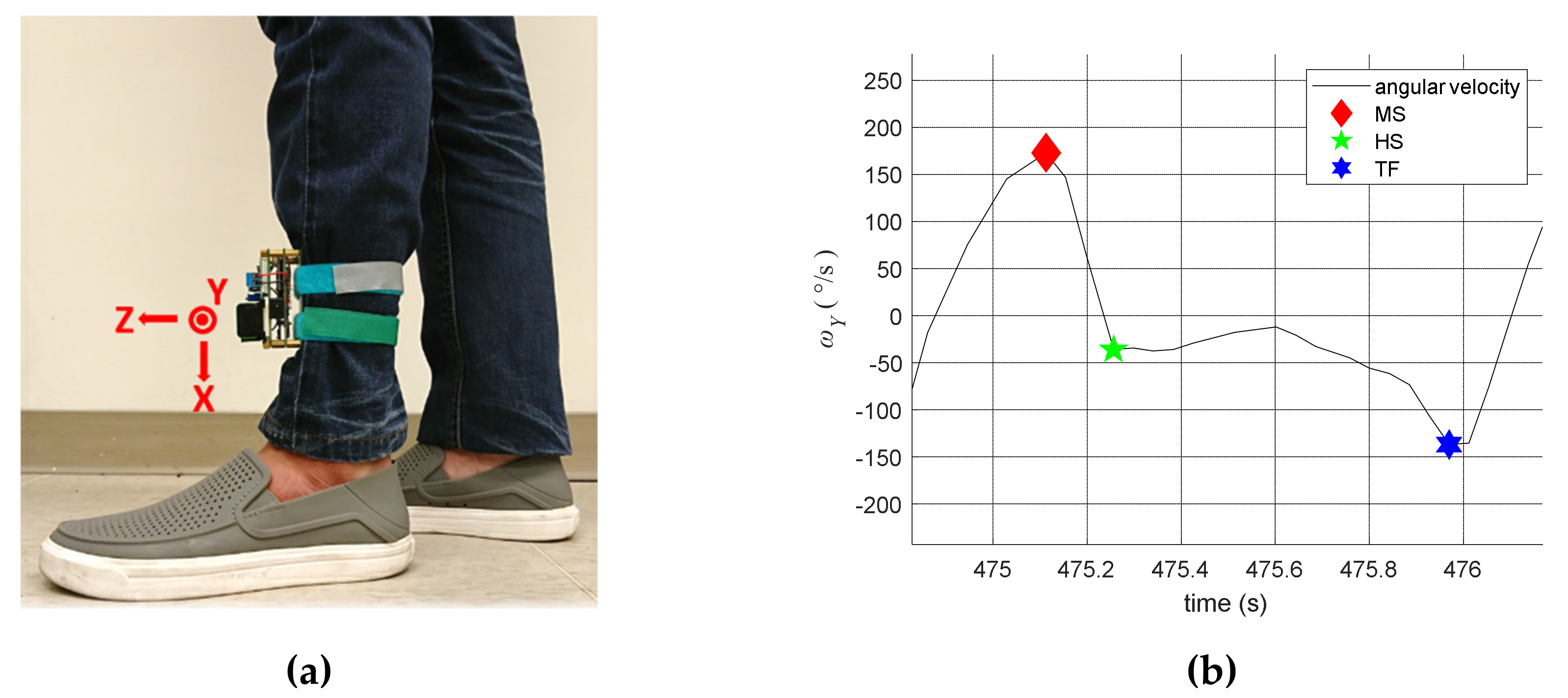 Sensors 20 03389 g004