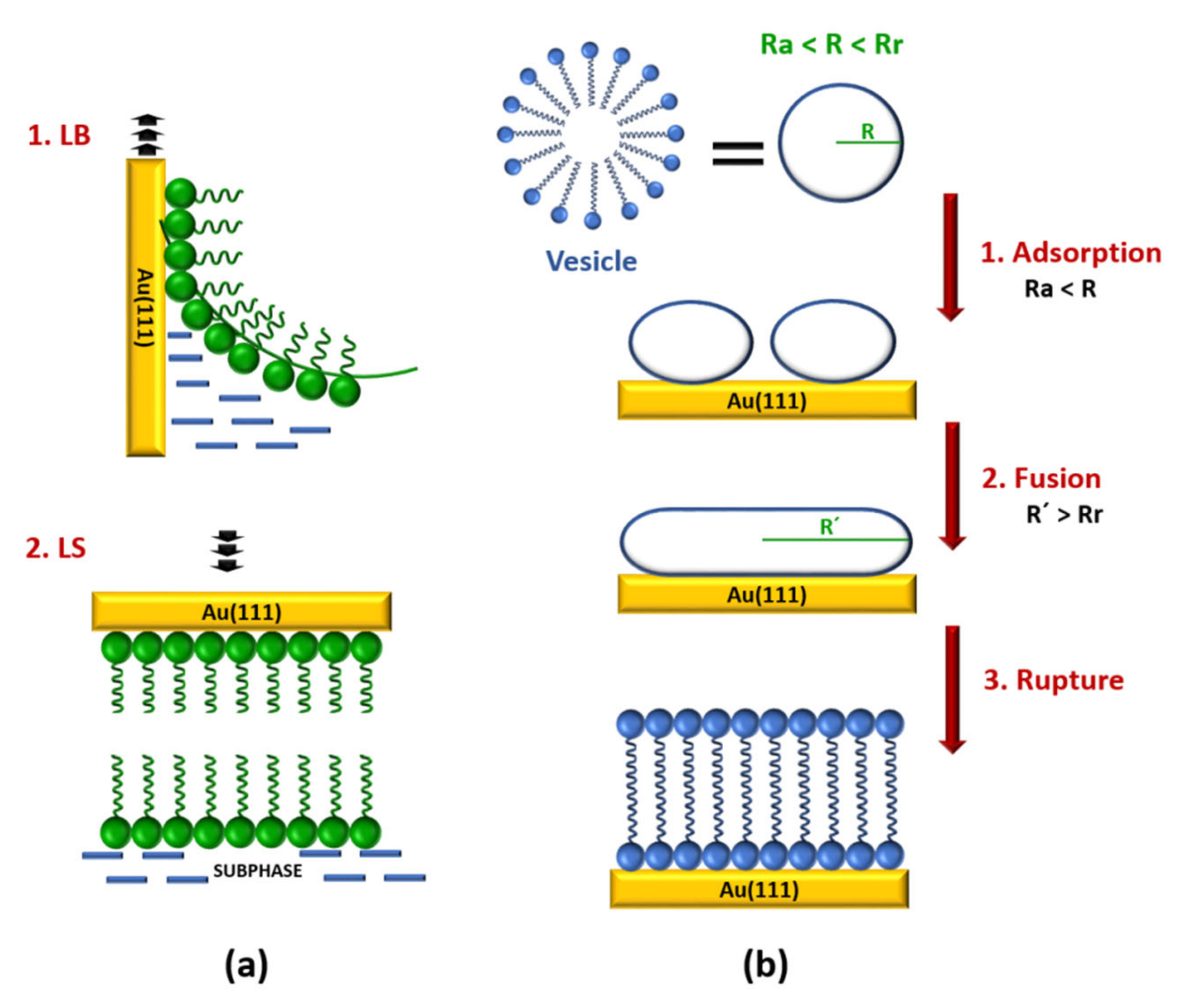 Sensors 20 03393 g001