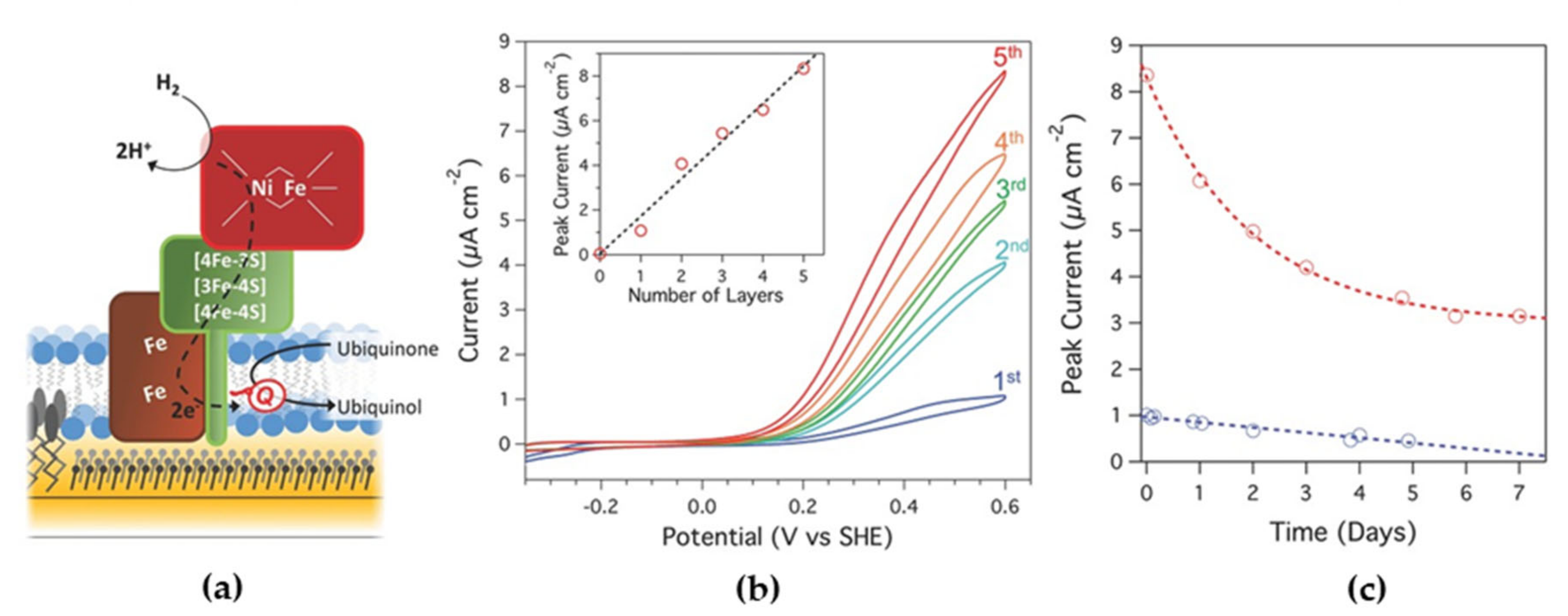 Sensors 20 03393 g004