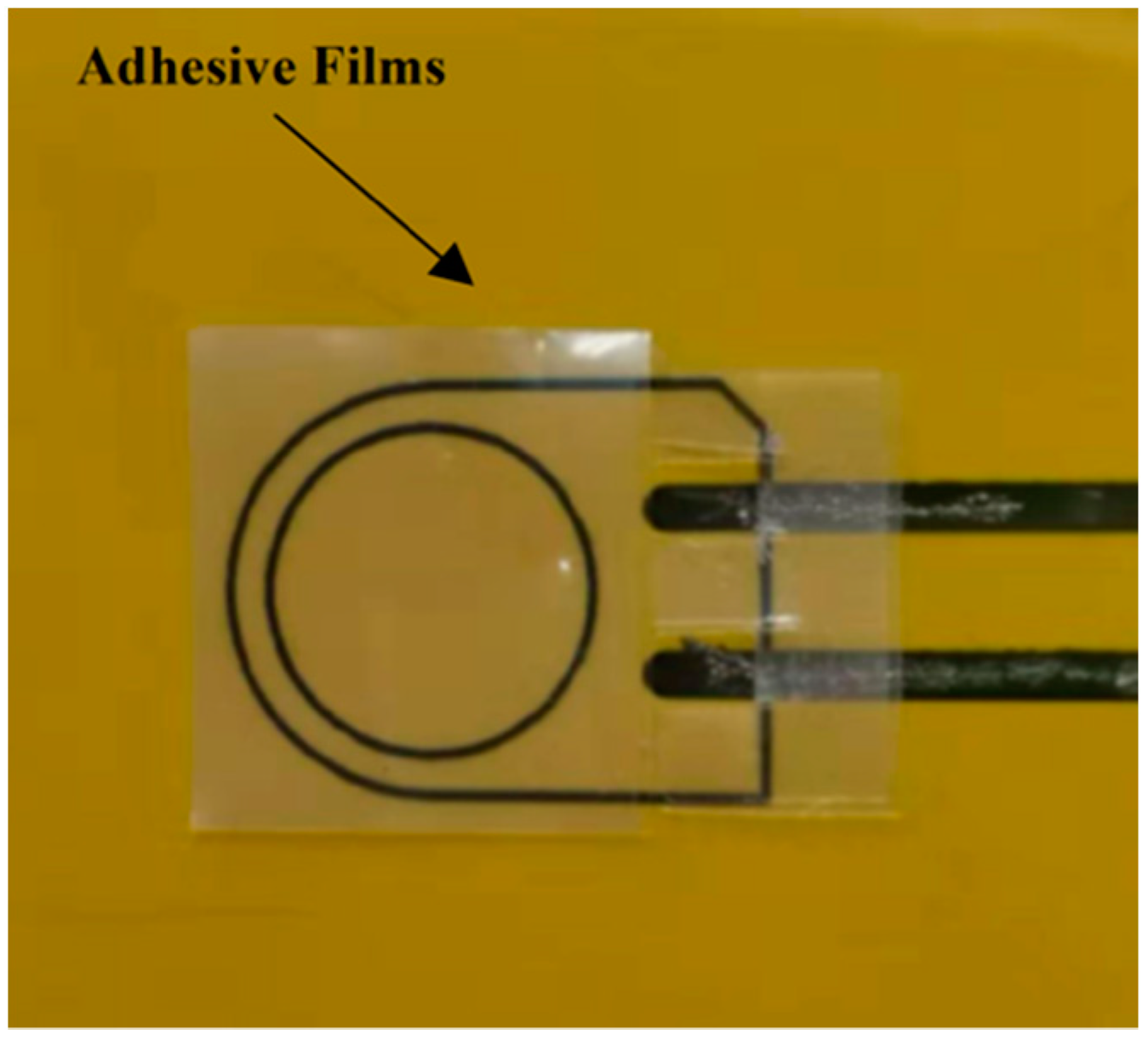 Sensors 20 03410 g001