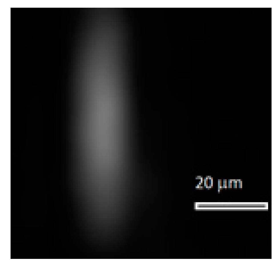 Sensors 20 03411 g009