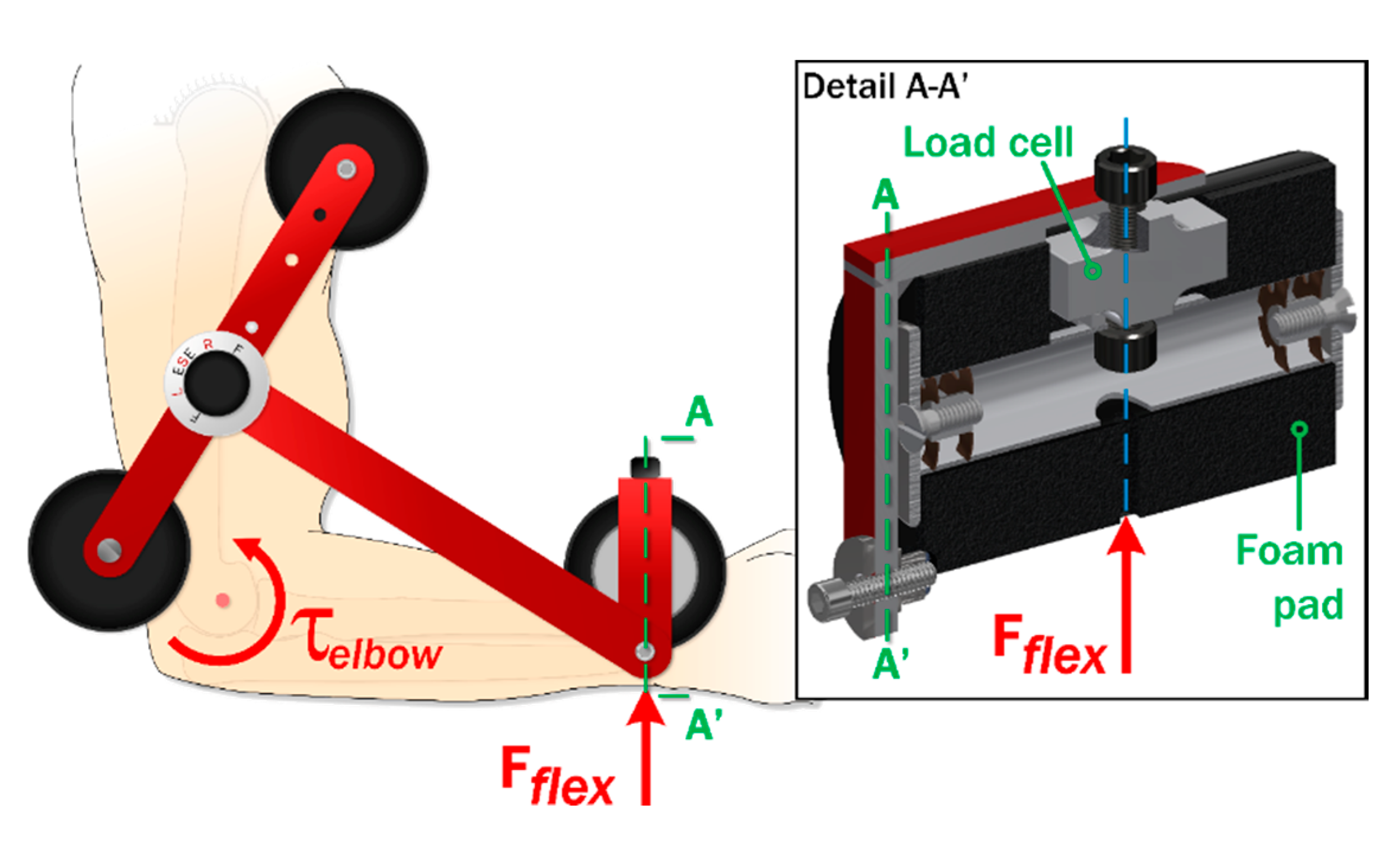 Sensors 20 03412 g002