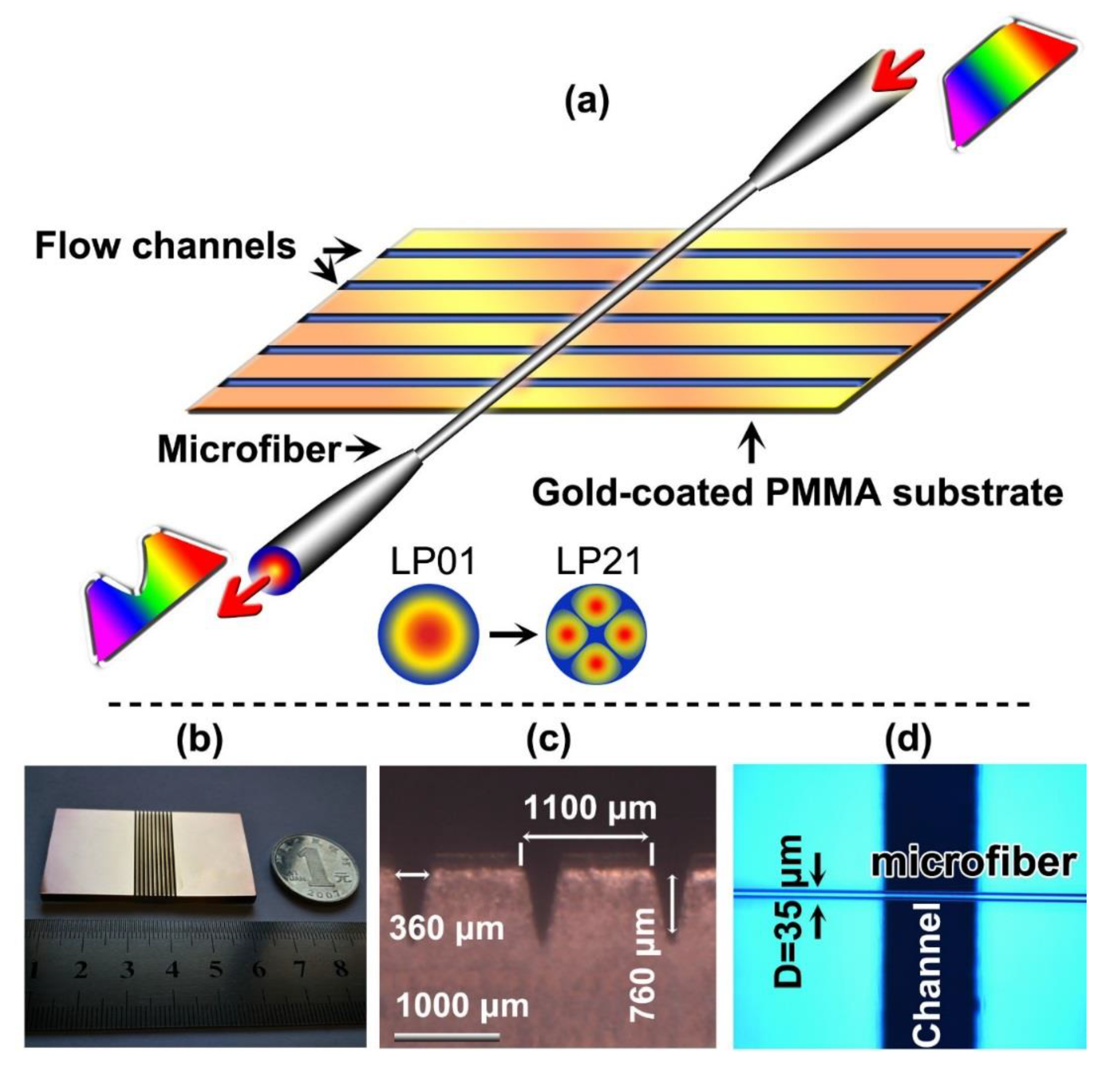Sensors 20 03415 g001