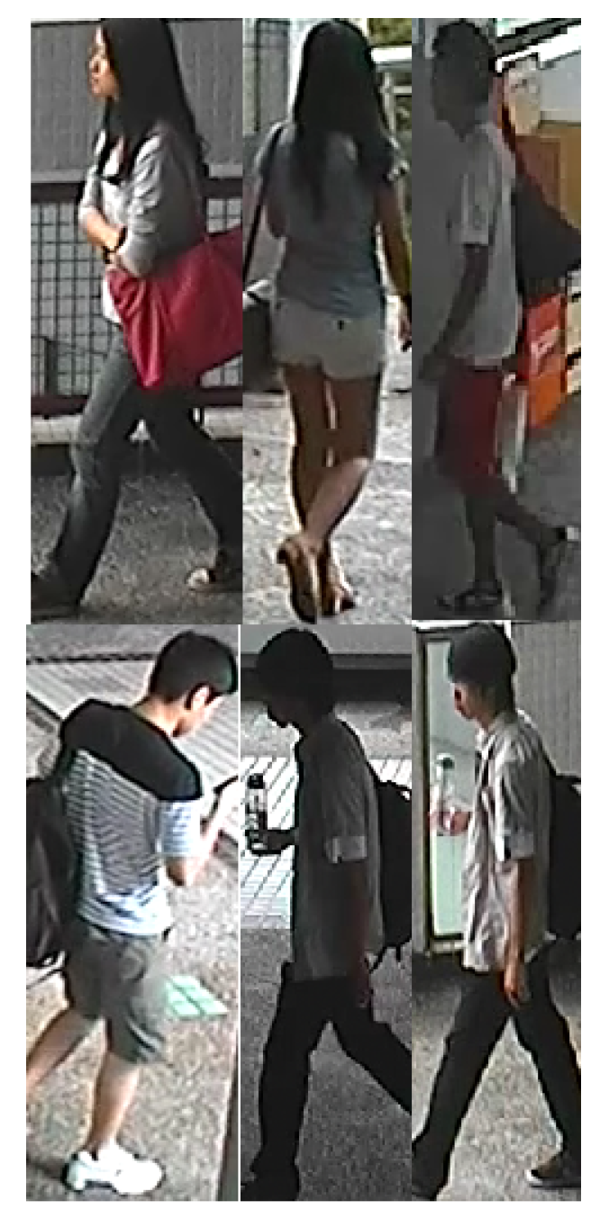 Sensors 20 03419 g004