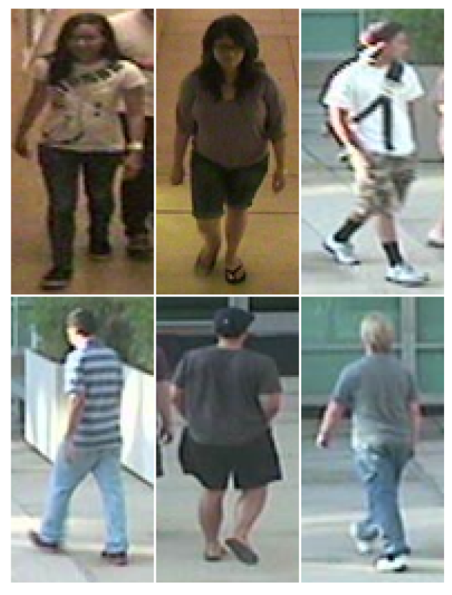 Sensors 20 03419 g005