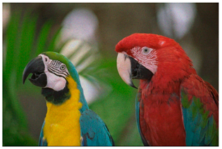 Sensors 20 03423 i002