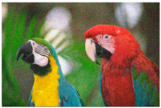 Sensors 20 03423 i003