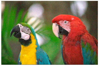 Sensors 20 03423 i005