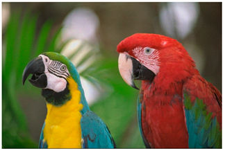 Sensors 20 03423 i006