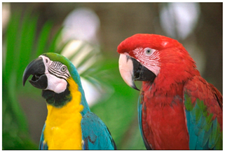 Sensors 20 03423 i011