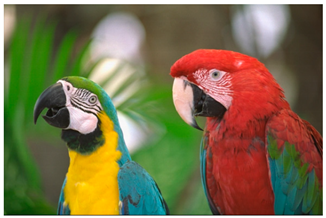 Sensors 20 03423 i014