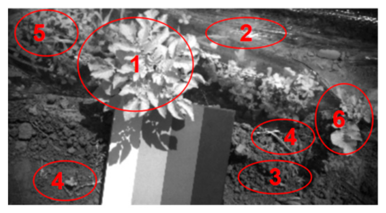 Sensors 20 03430 g003