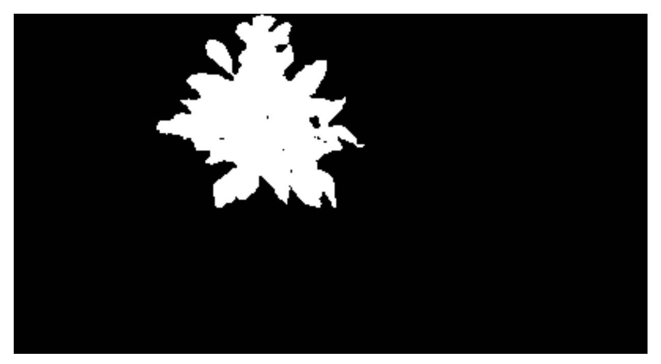 Sensors 20 03430 g004