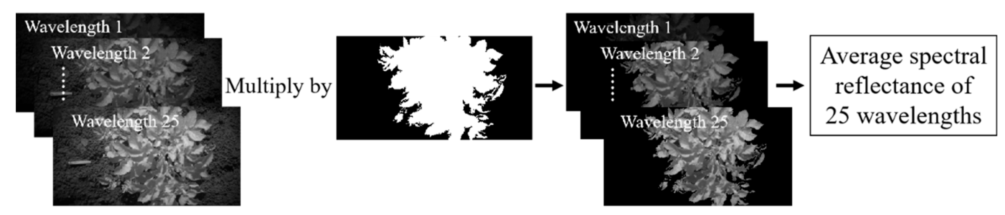 Sensors 20 03430 g005