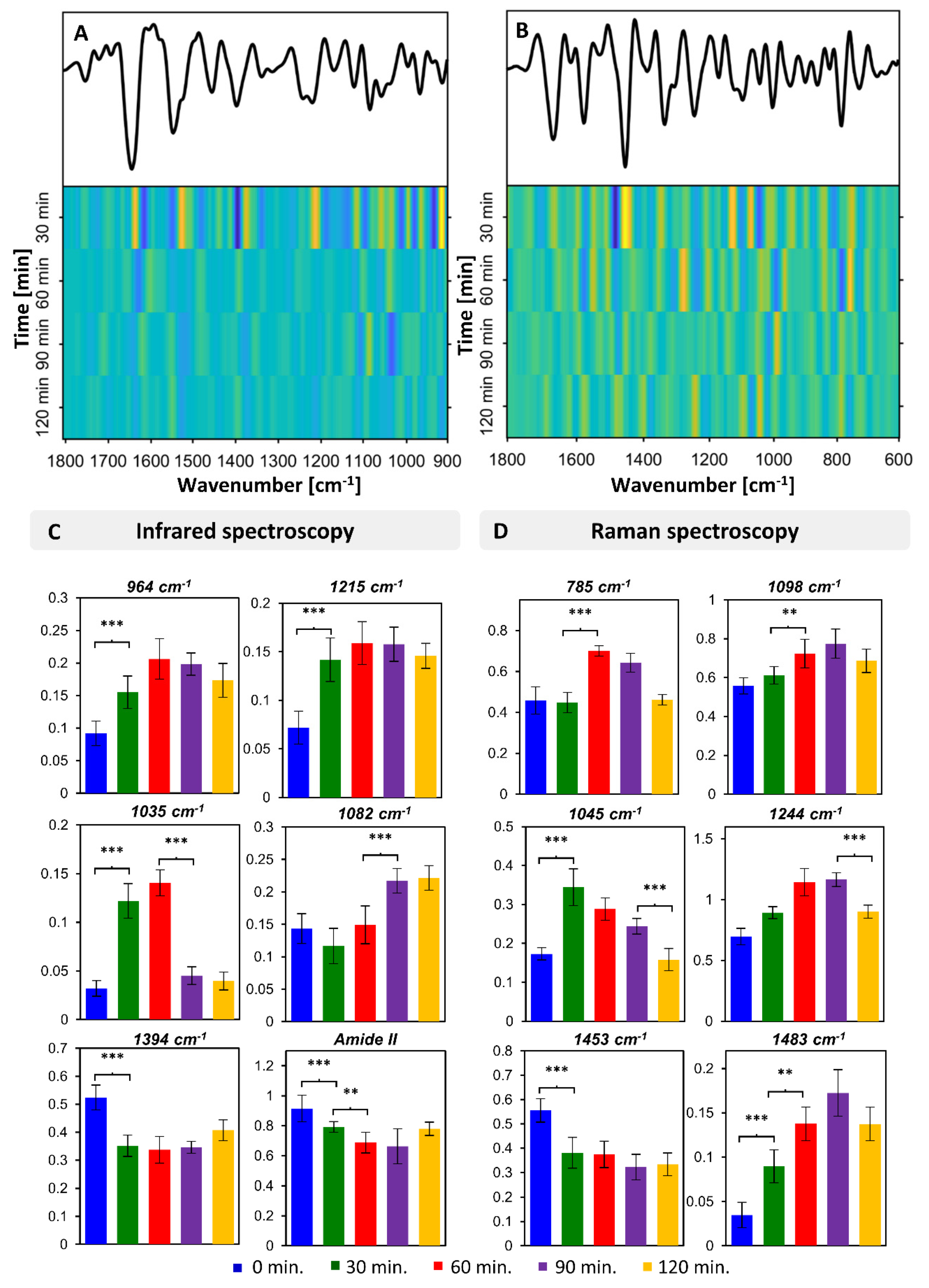 Sensors 20 03452 g004