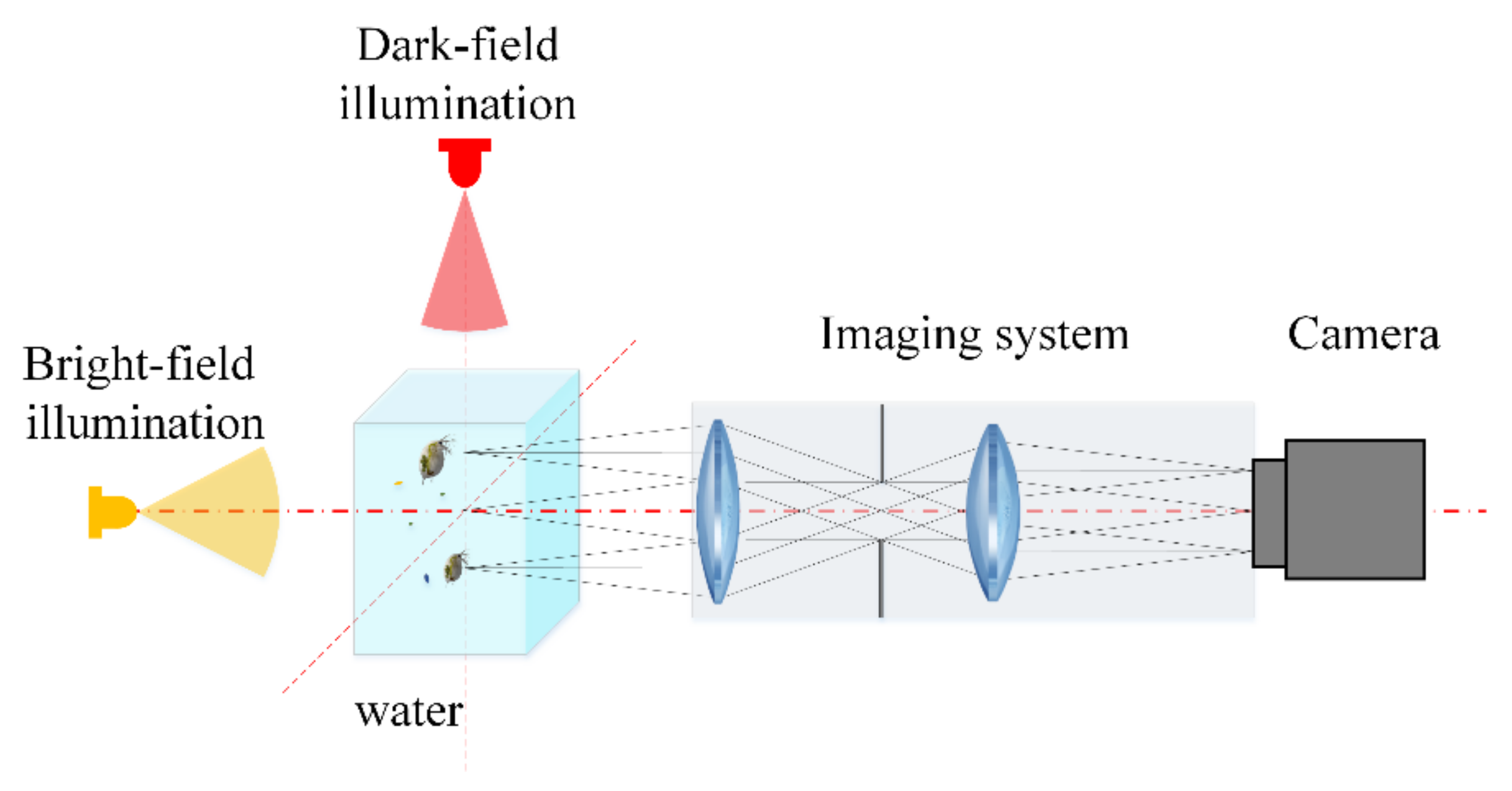 Sensors 20 03471 g001