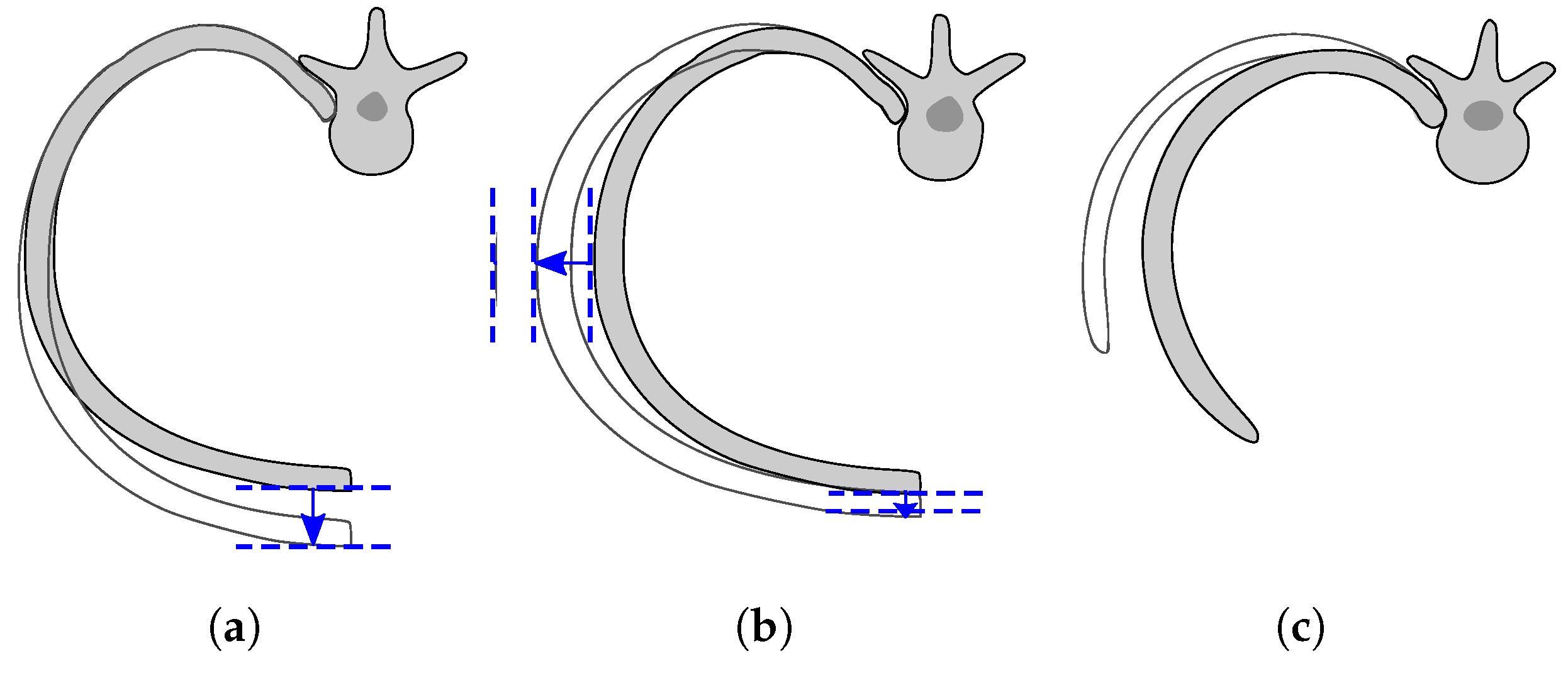 Sensors 20 03489 g001