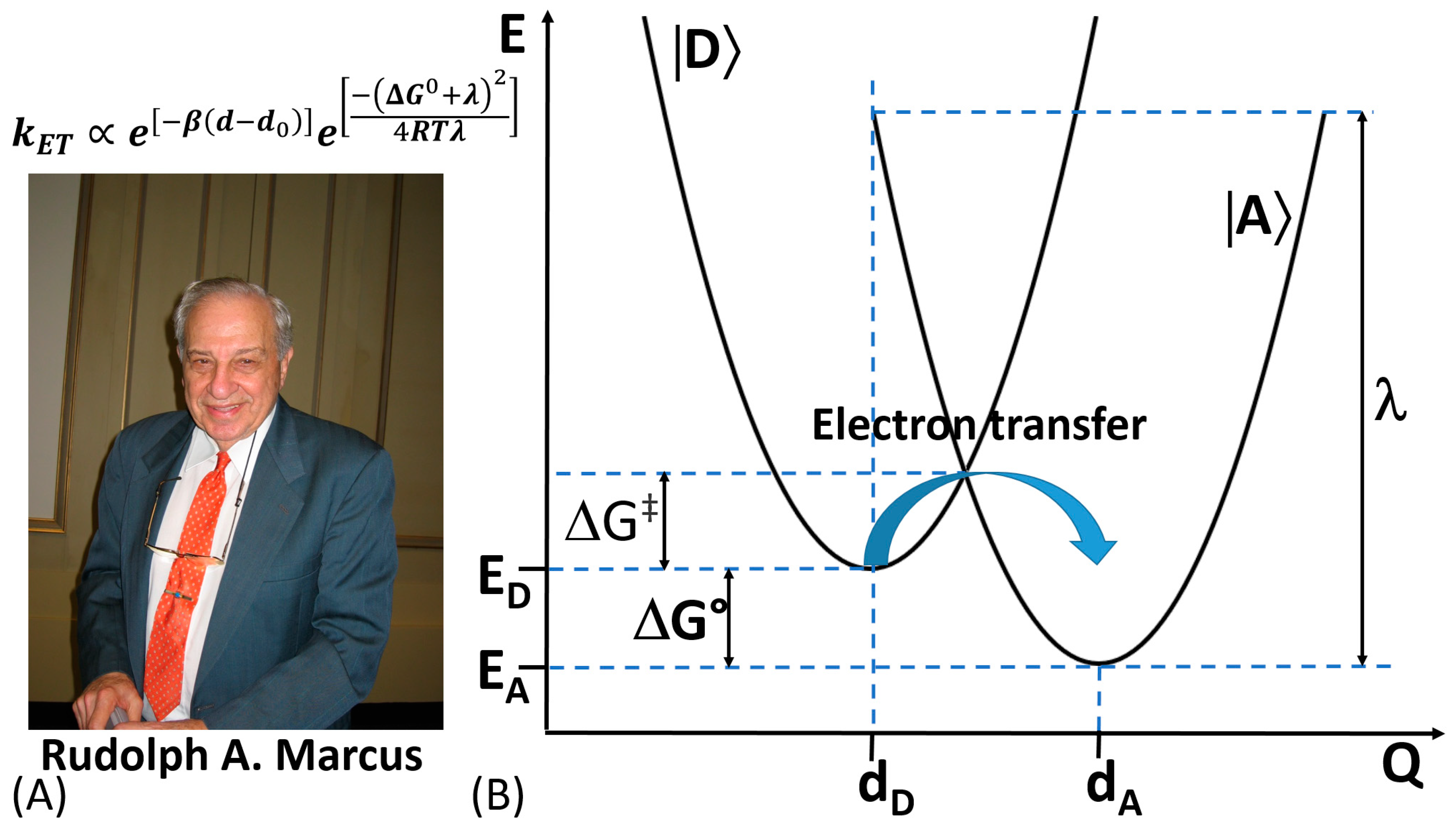Enzyme-Based Biosensors: Tackling Electron Transfer Issues | MDPI
