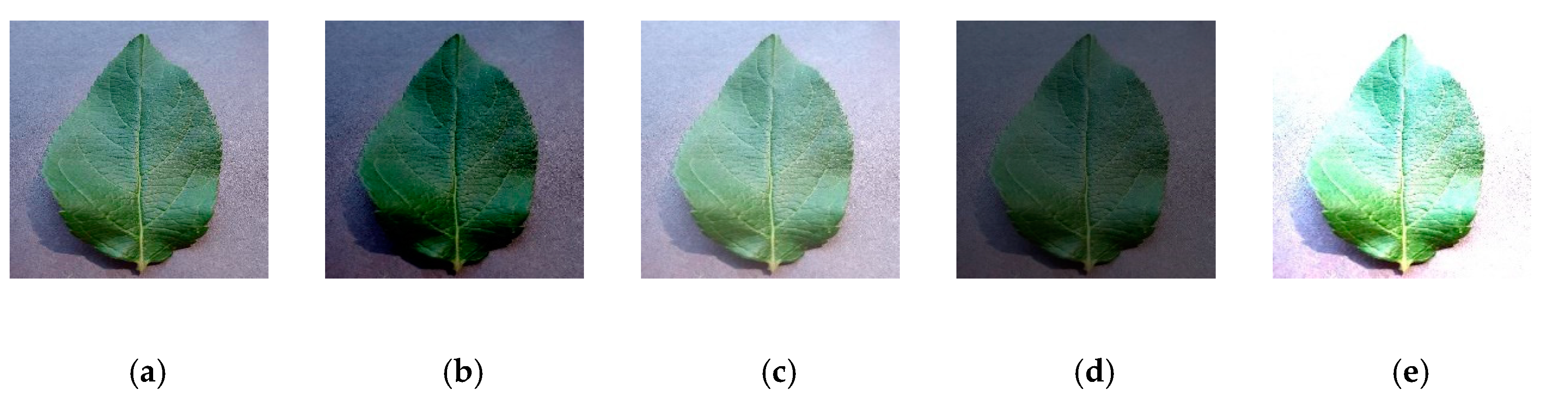 Sensors 20 03535 g010