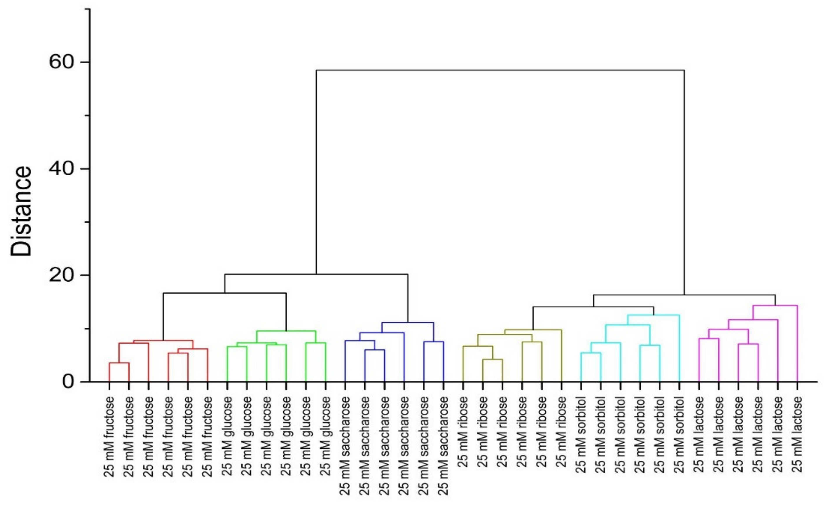 Sensors 20 03540 g007
