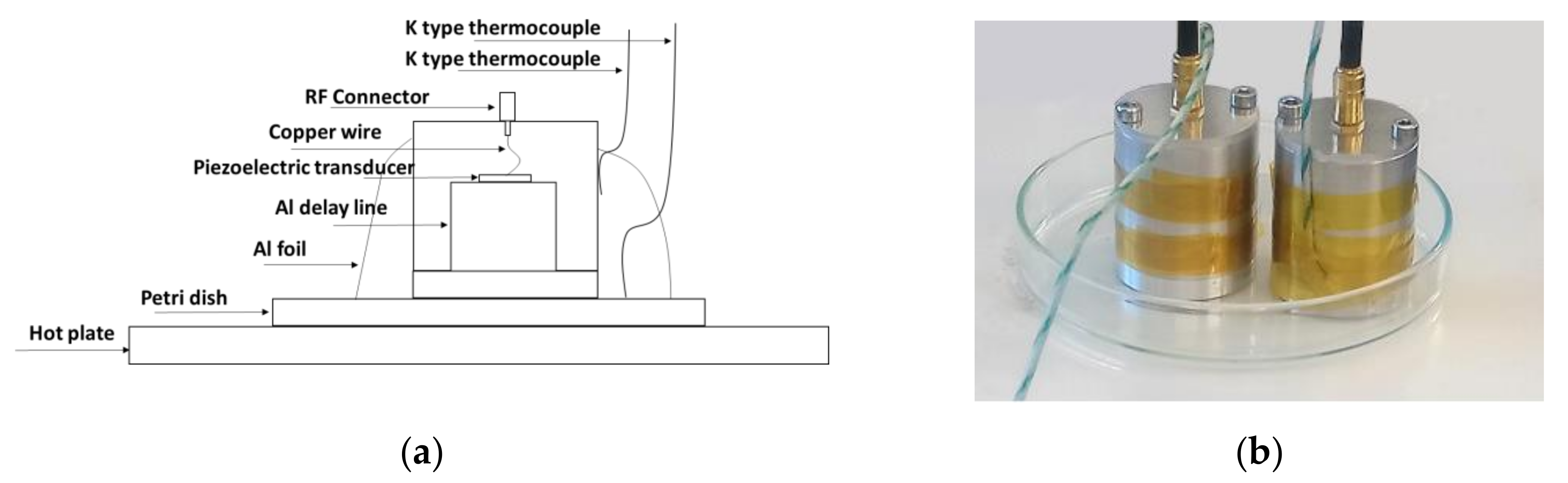 Sensors 20 03544 g004