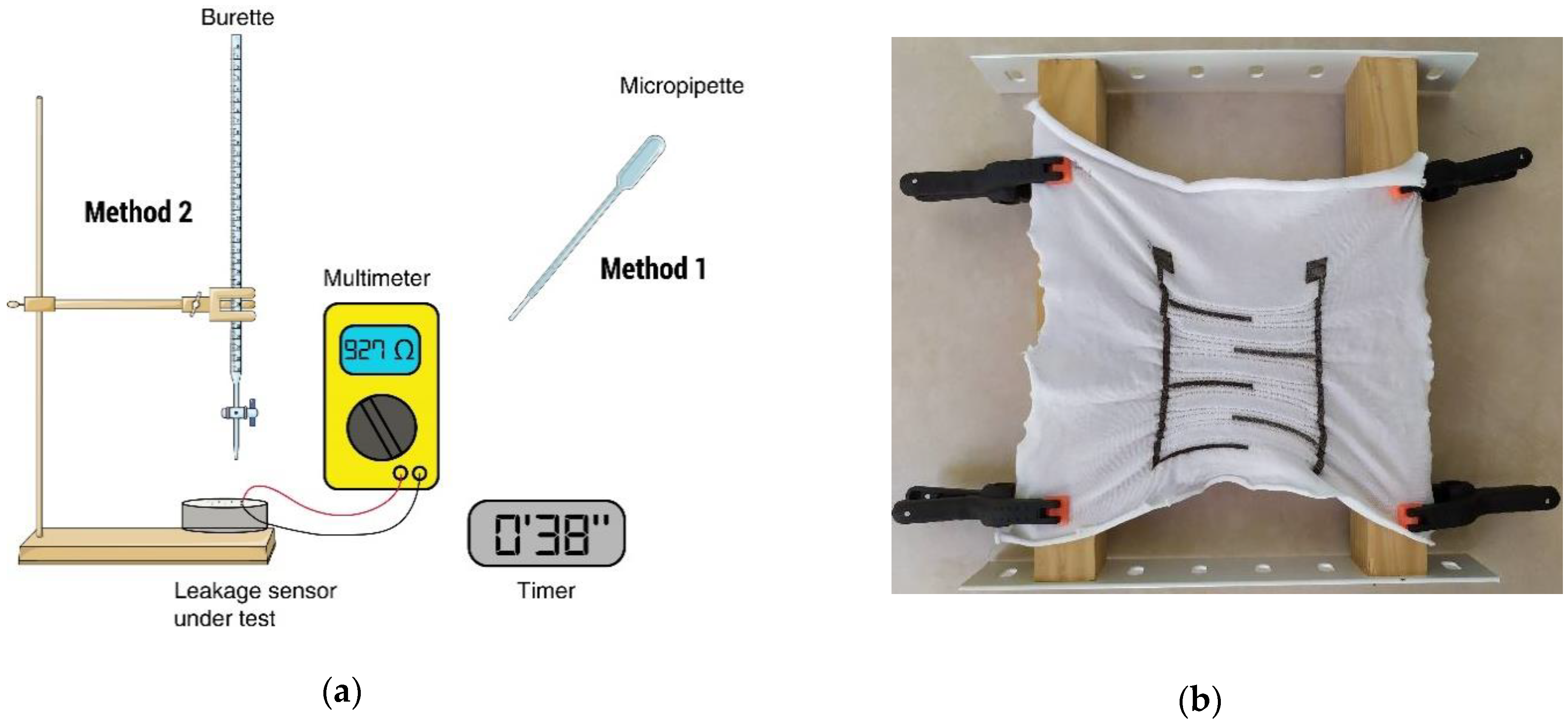 Sensors 20 03546 g004