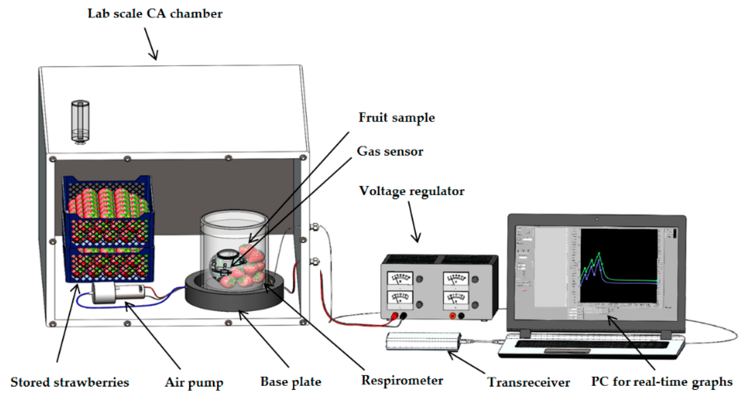 Sensors 20 03589 g001
