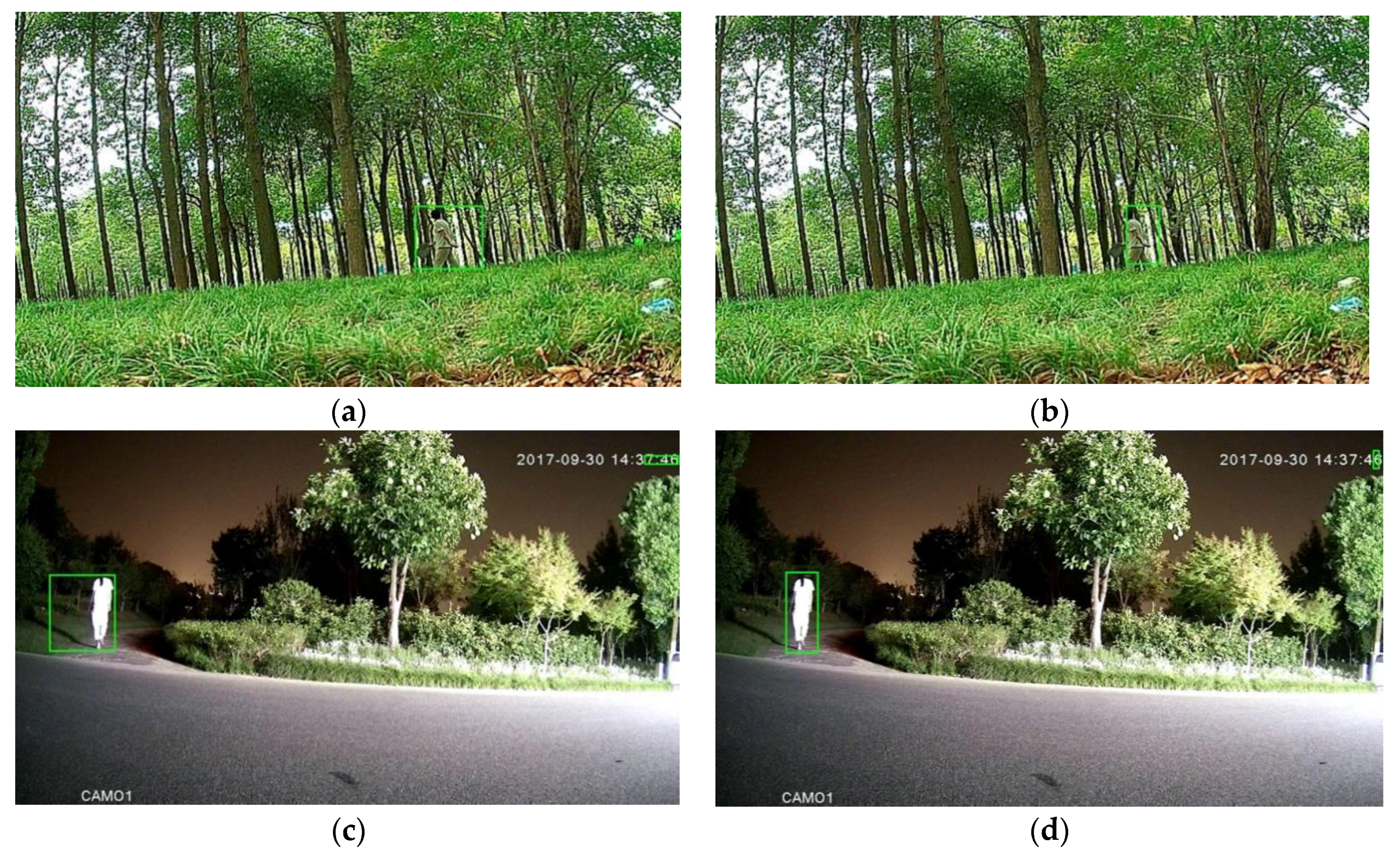 Sensors 20 03591 g002a