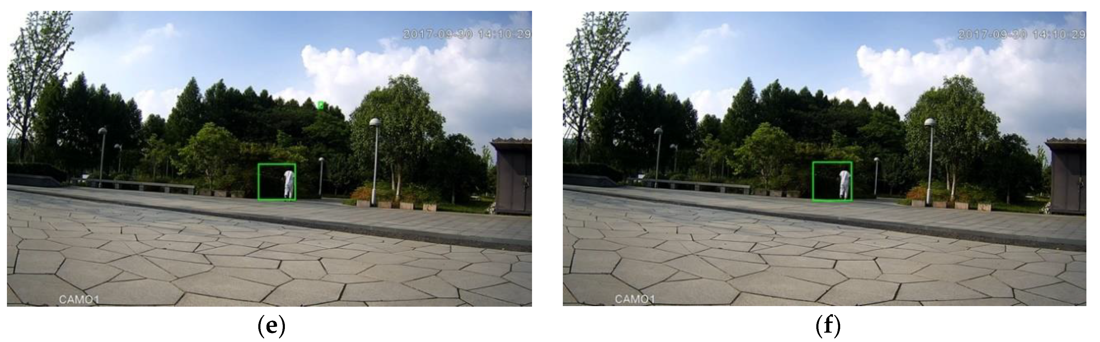 Sensors 20 03591 g002b