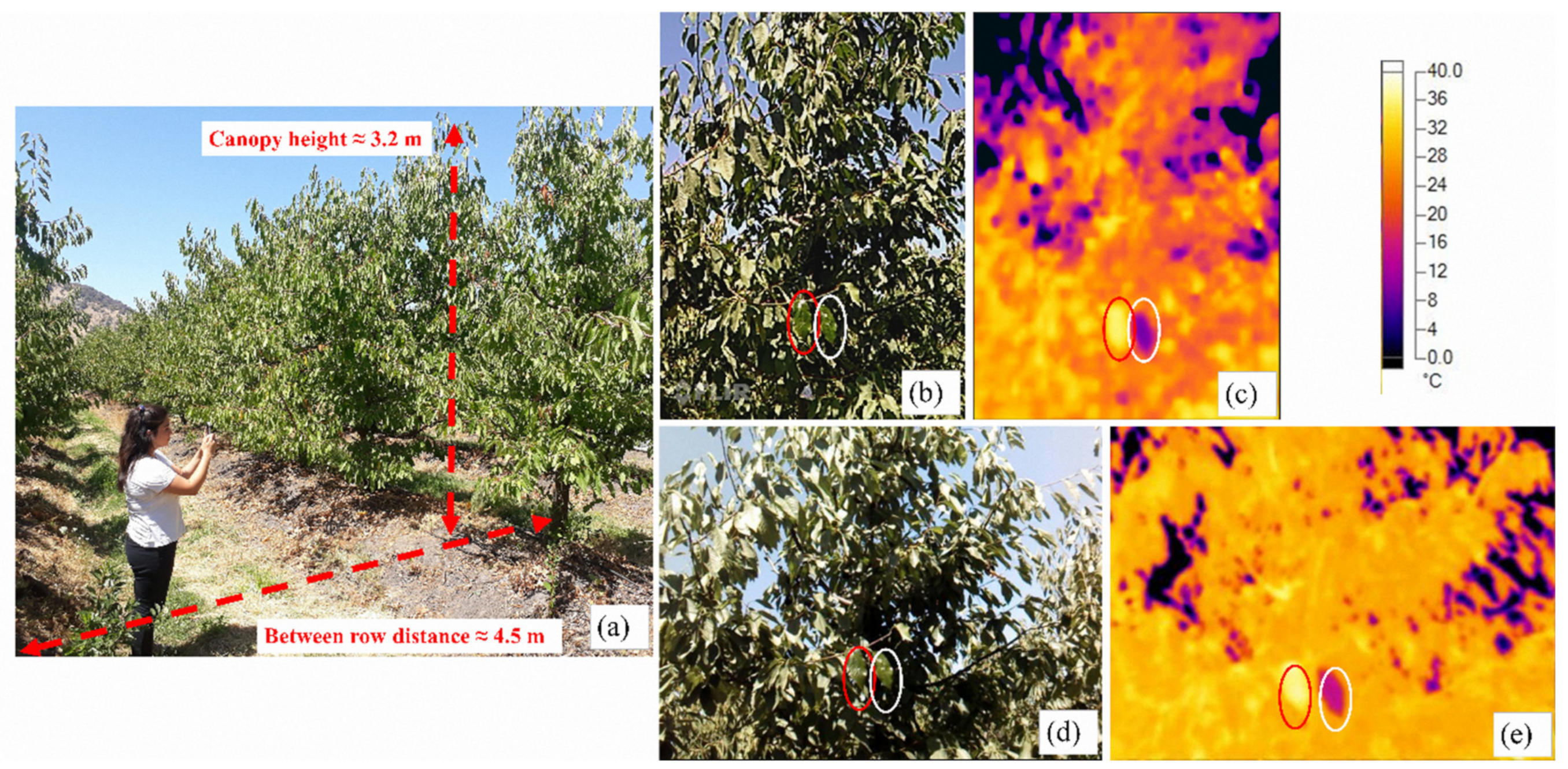Sensors 20 03596 g001