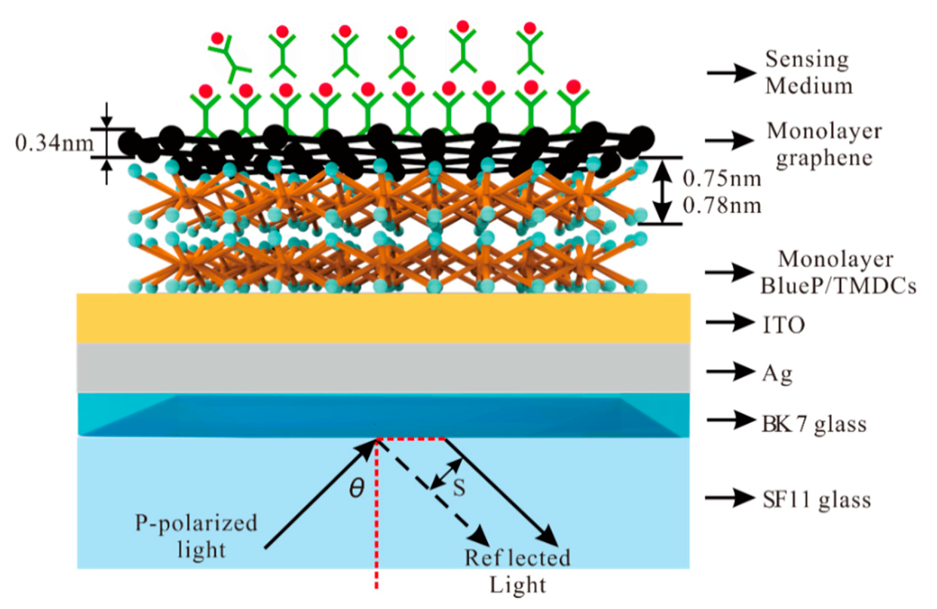 Sensors 20 03605 g001