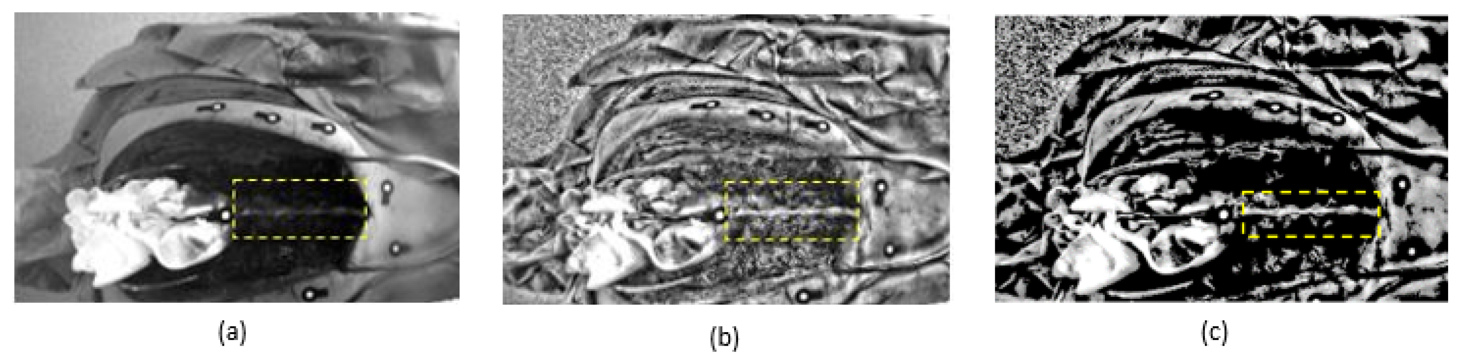 Sensors 20 03641 g005 Sensors 20 03641 g005