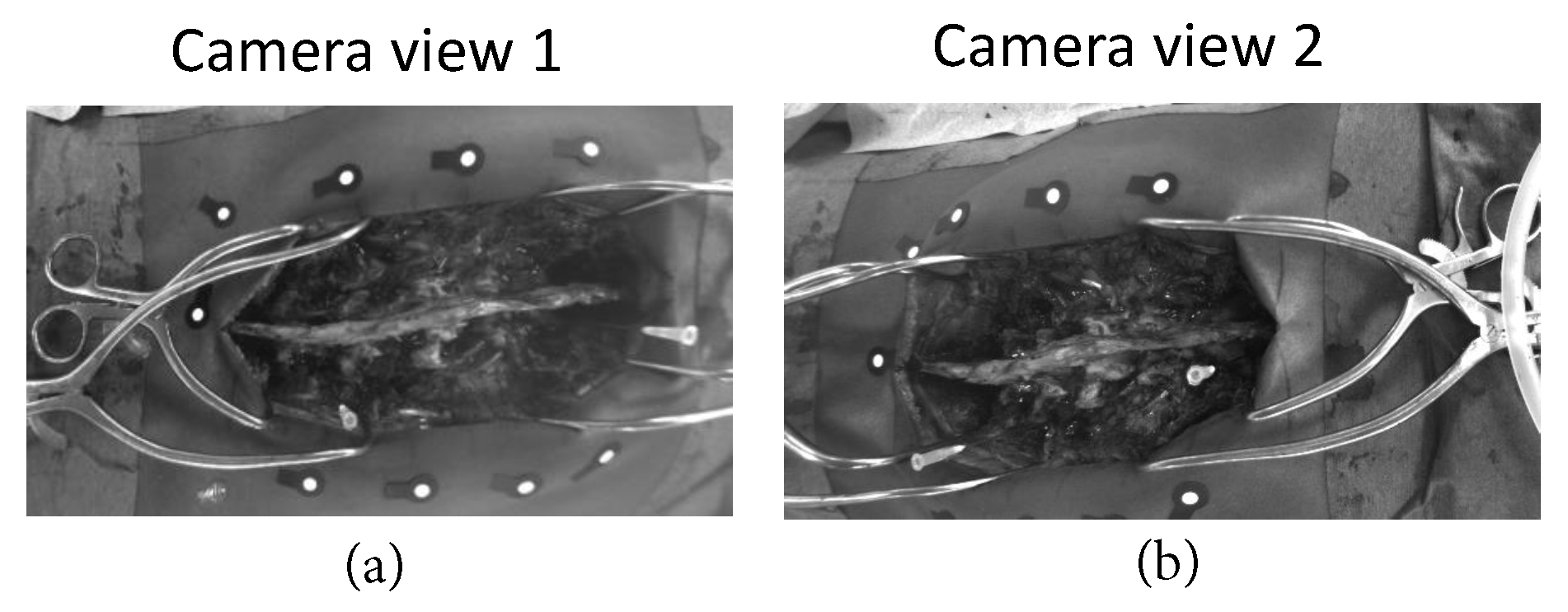 Sensors 20 03641 g007 Sensors 20 03641 g007