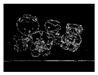 Sensors 20 03649 i004