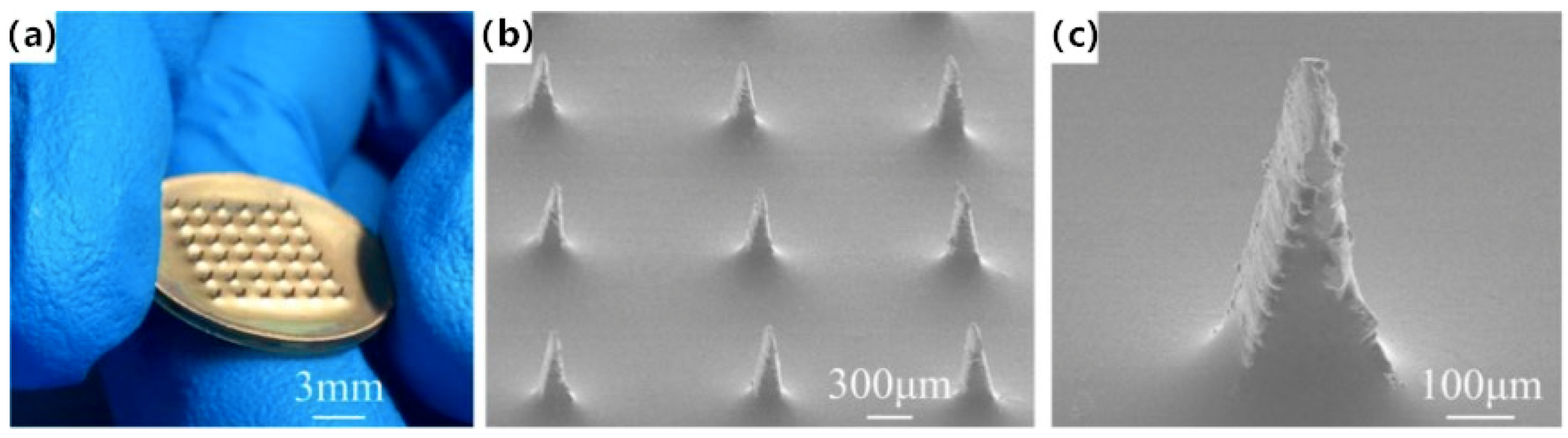 Sensors 20 03651 g006 Sensors 20 03651 g006