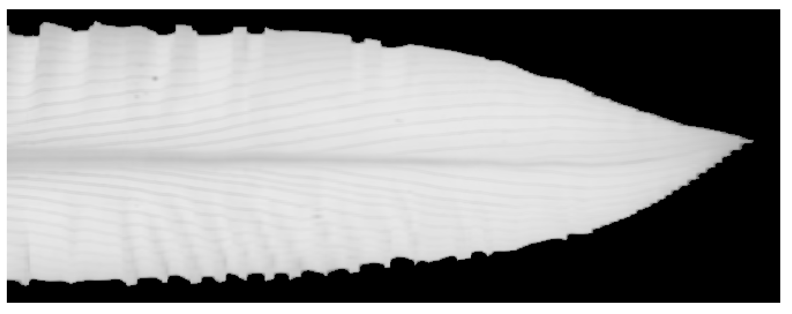 Sensors 20 03659 g002