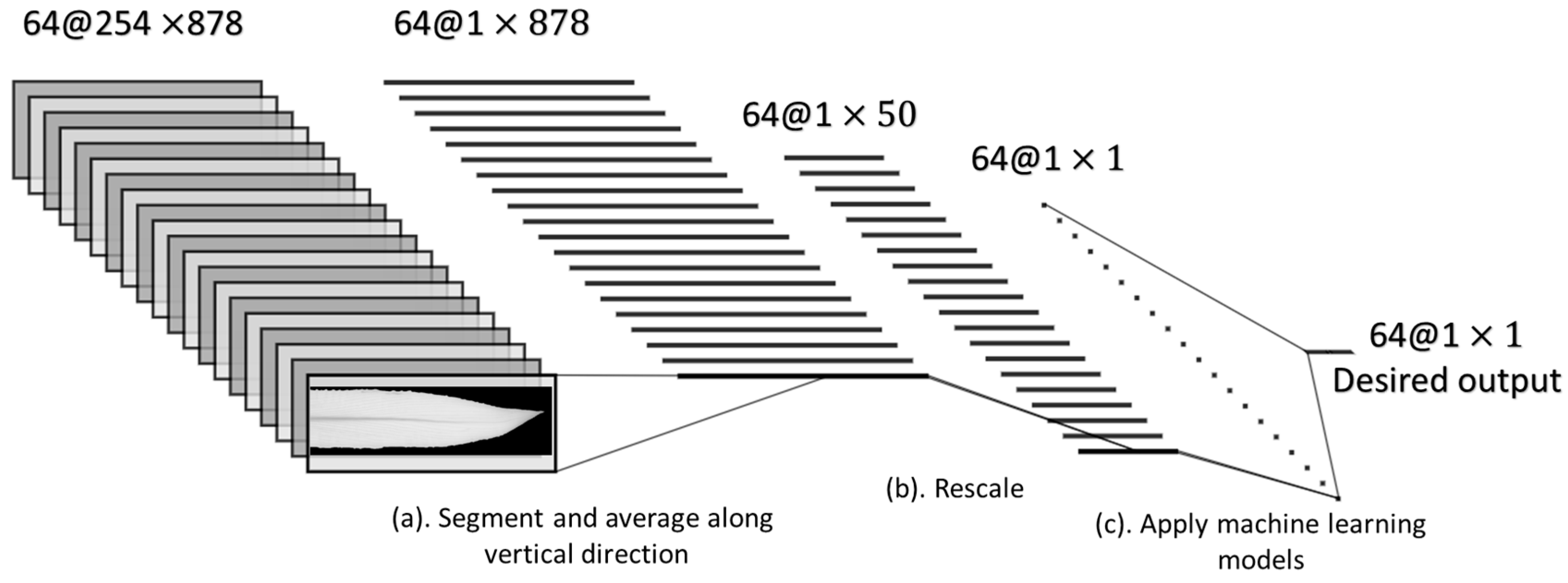 Sensors 20 03659 g005