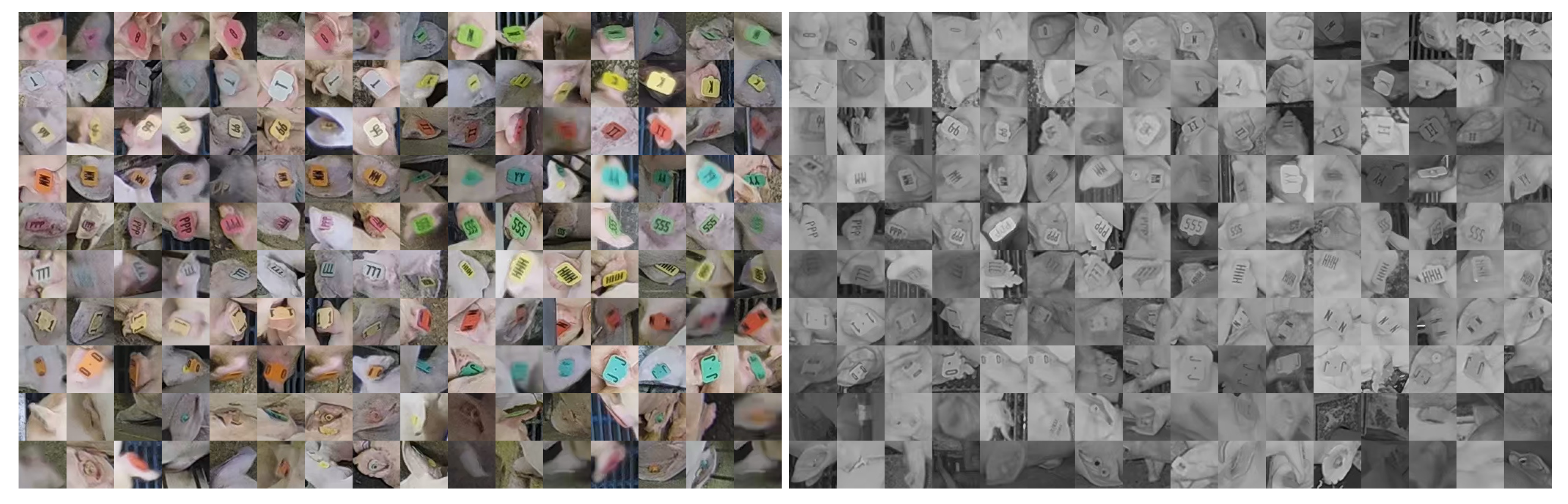 Sensors 20 03670 g008