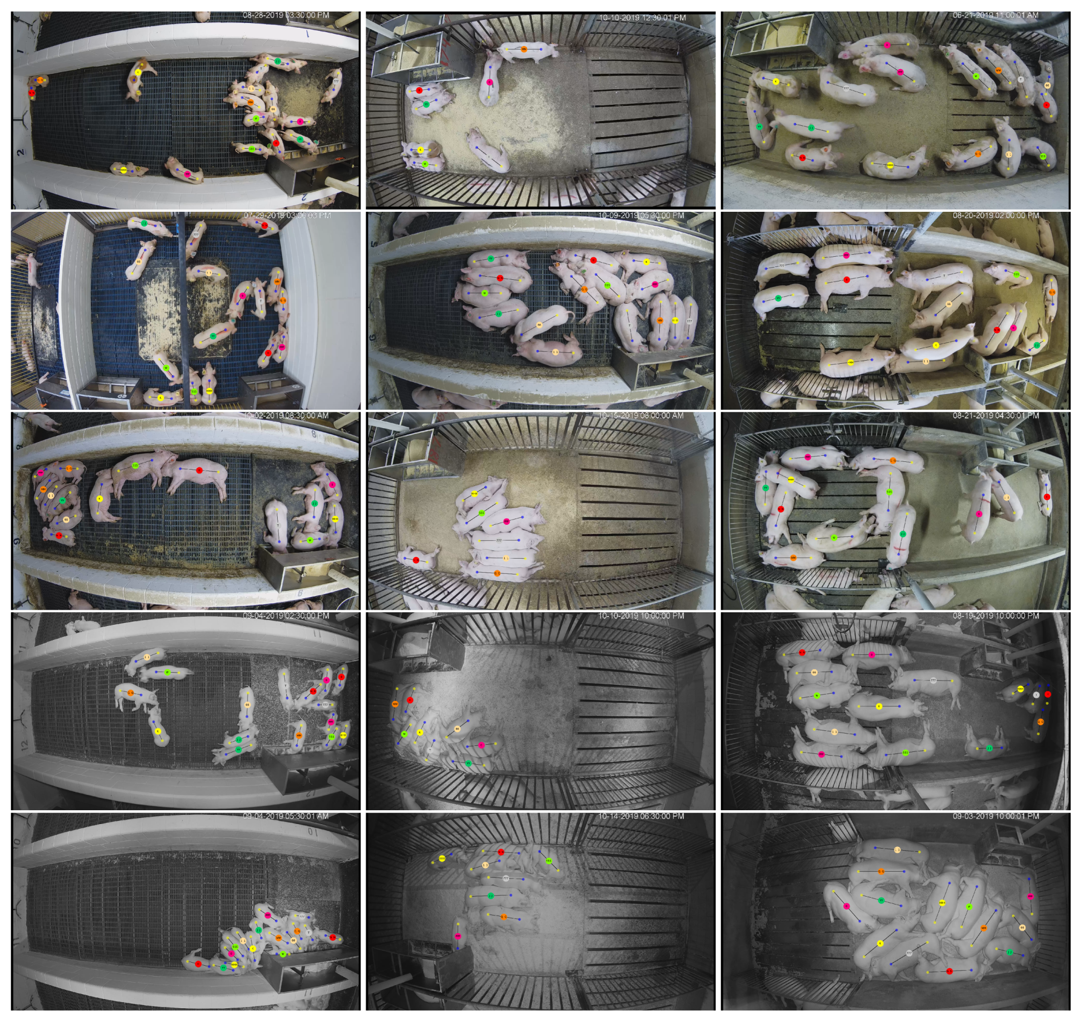 Sensors 20 03670 g009