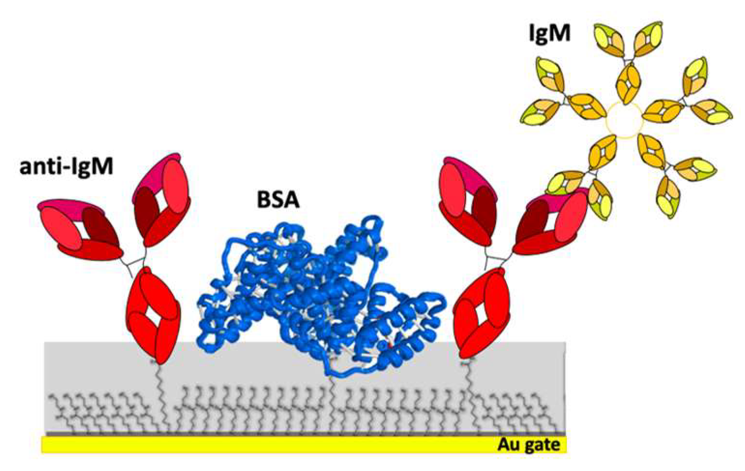 Sensors 20 03678 g001
