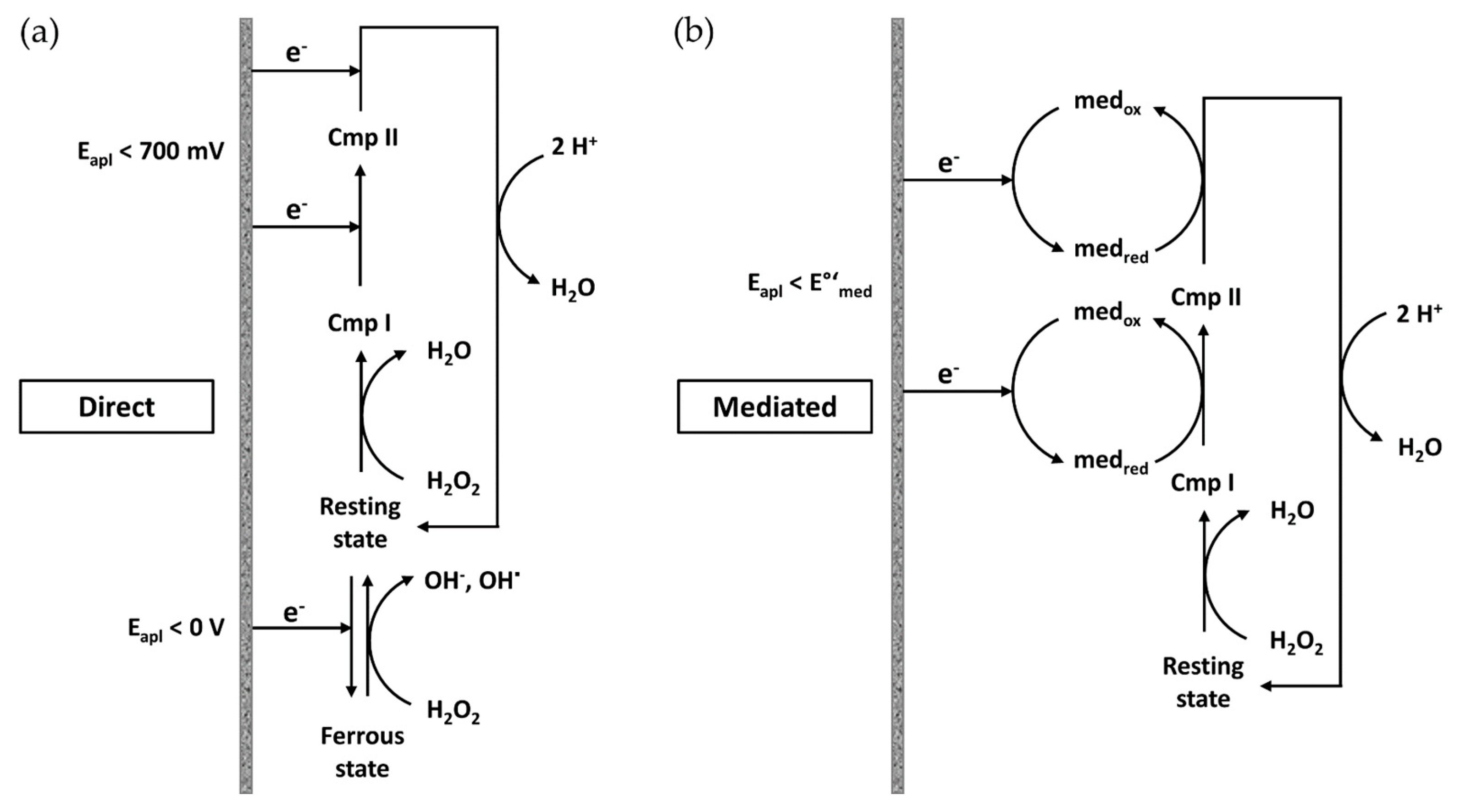 Sensors 20 03692 g002